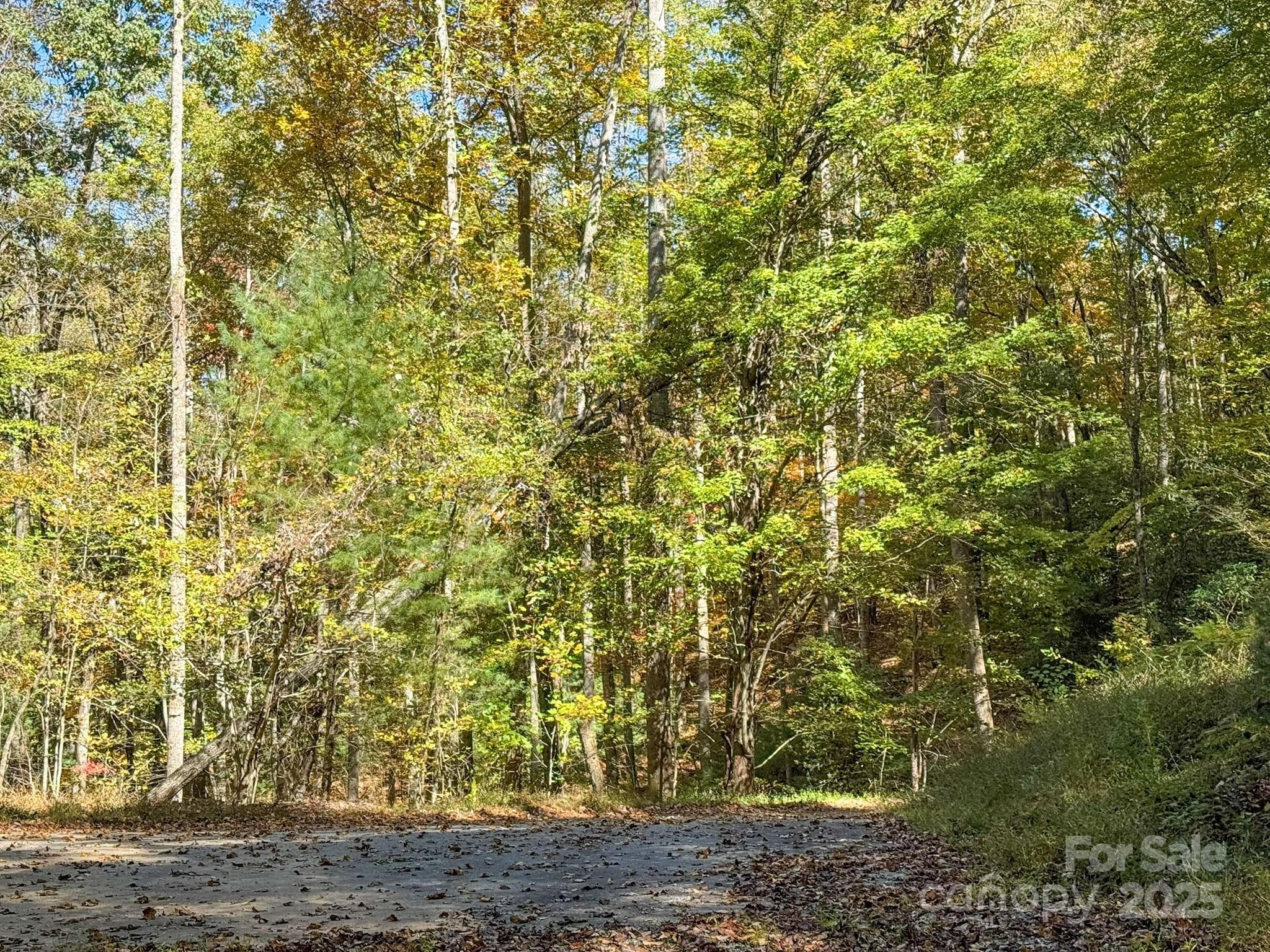 Lot at Arden, photo 14 of 25