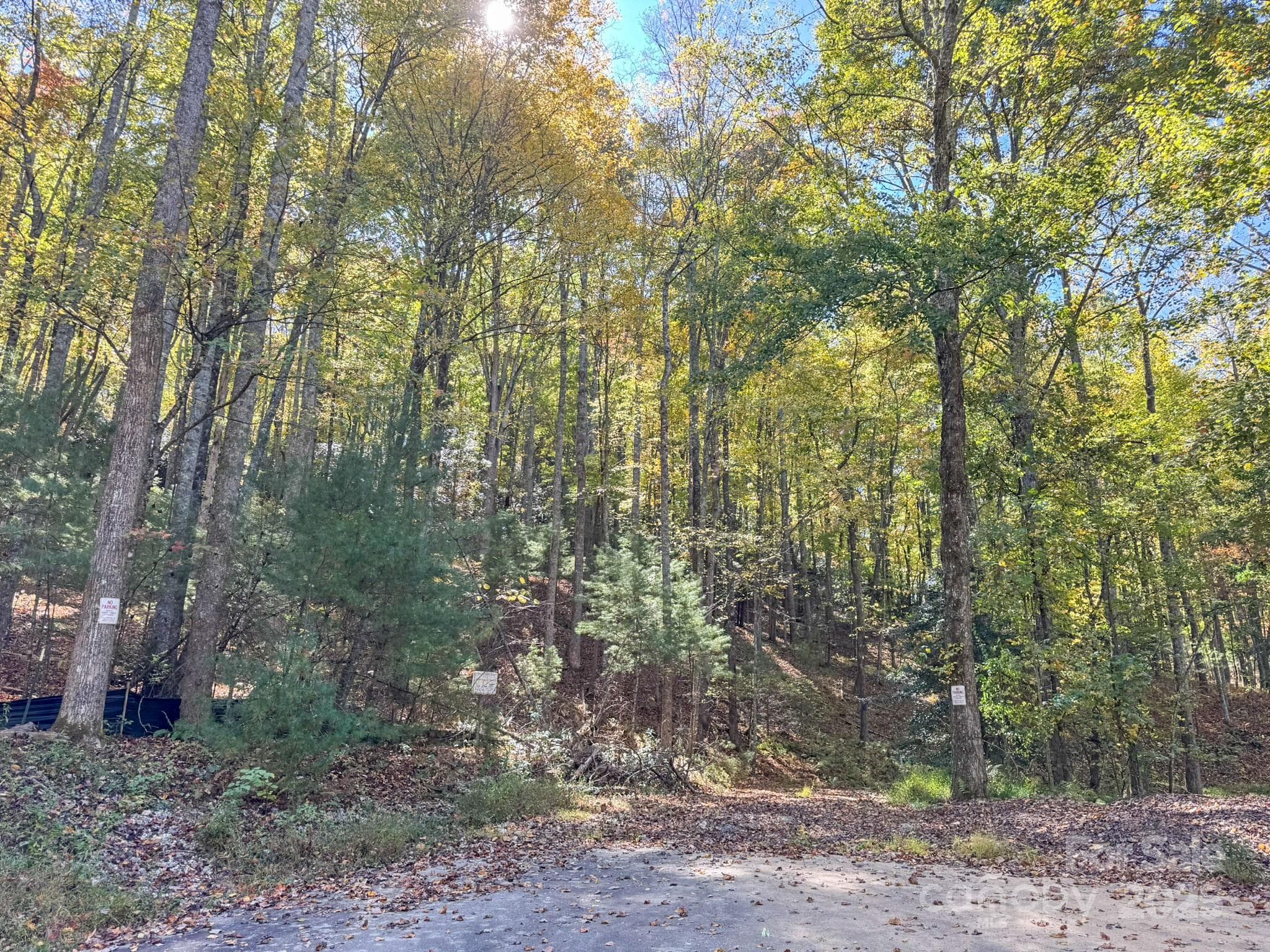 Lot at Arden, photo 15 of 25
