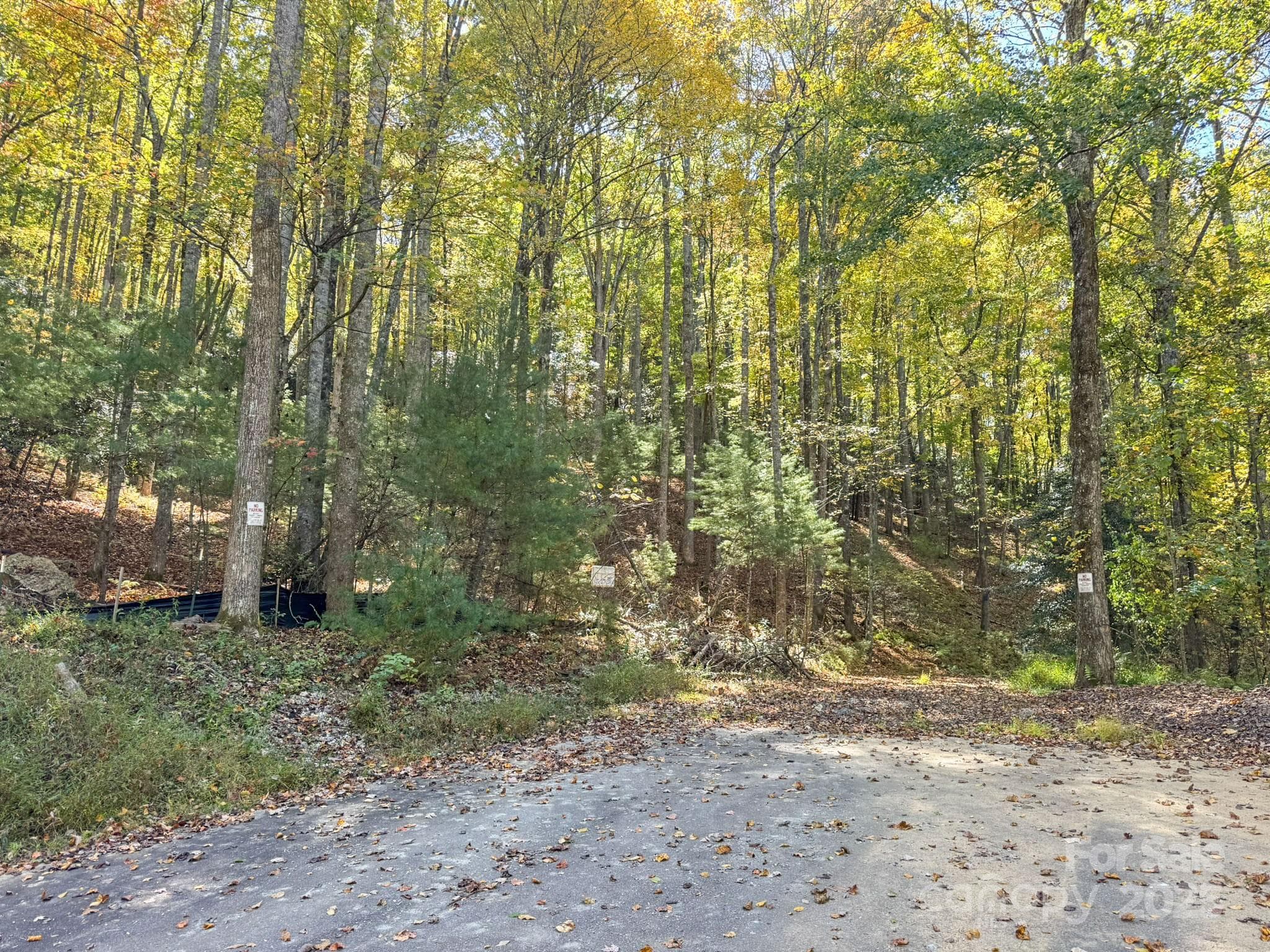 Lot at Arden, photo 16 of 25