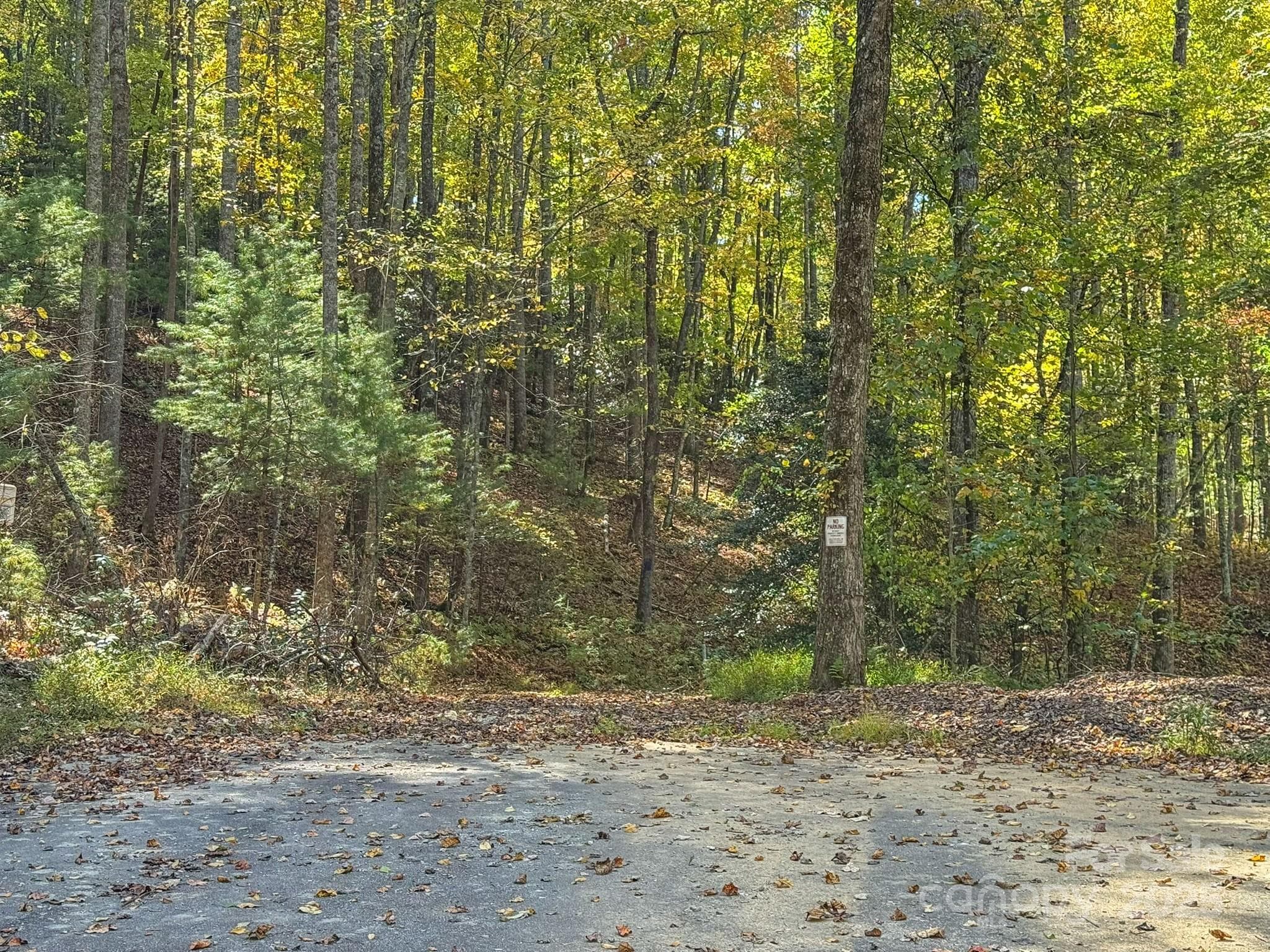 Lot at Arden, photo 17 of 25