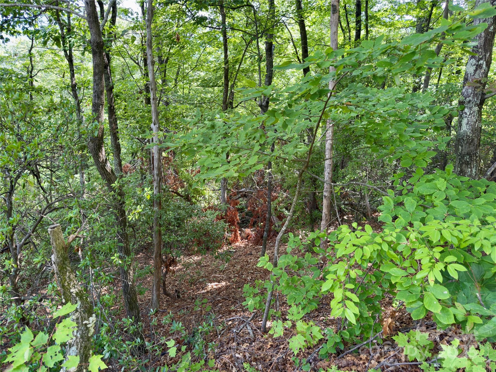 Lot at Black Mountain, photo 8 of 11