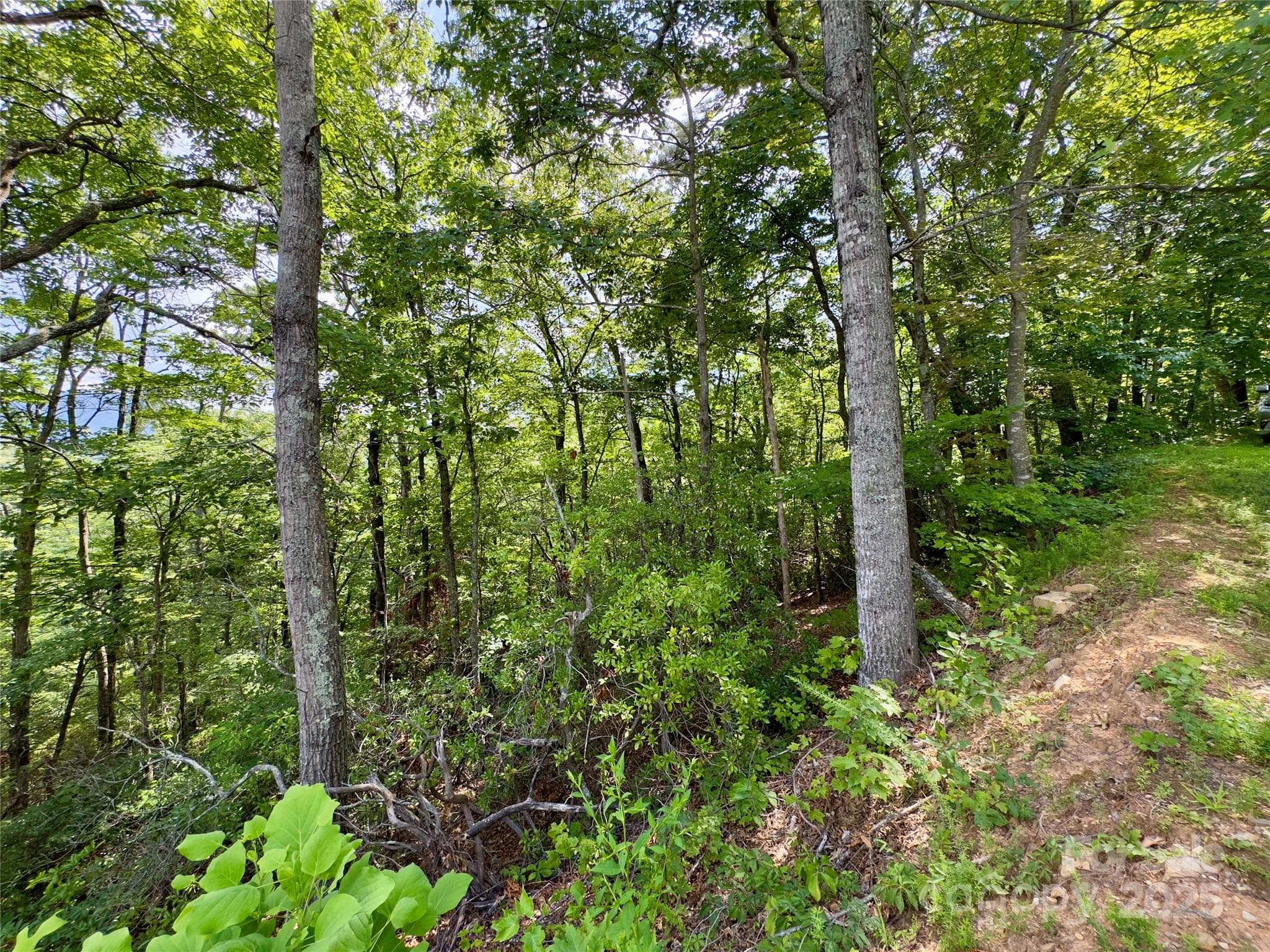 Lot at Black Mountain, photo 10 of 11