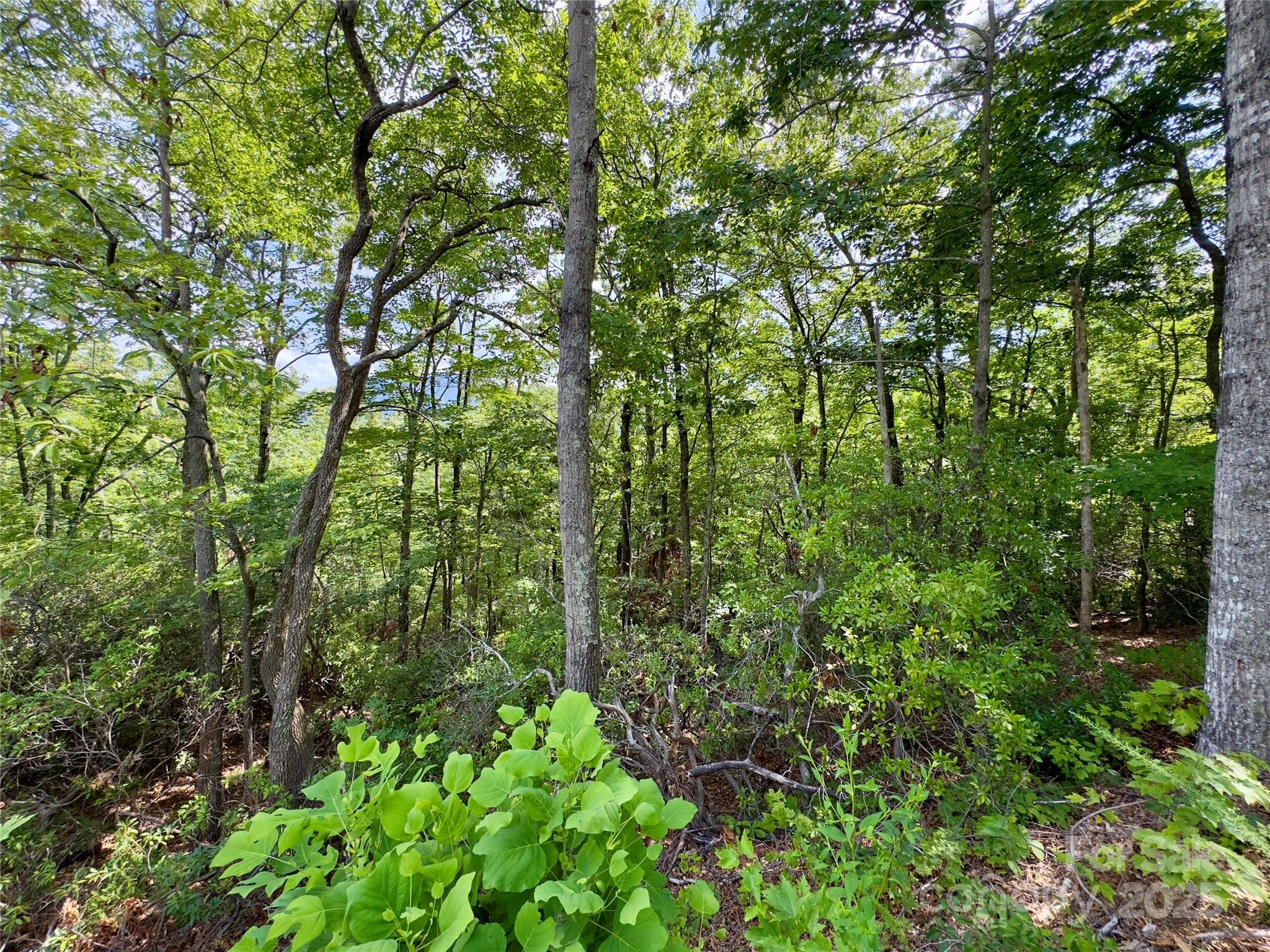 Lot at Black Mountain, photo 11 of 11