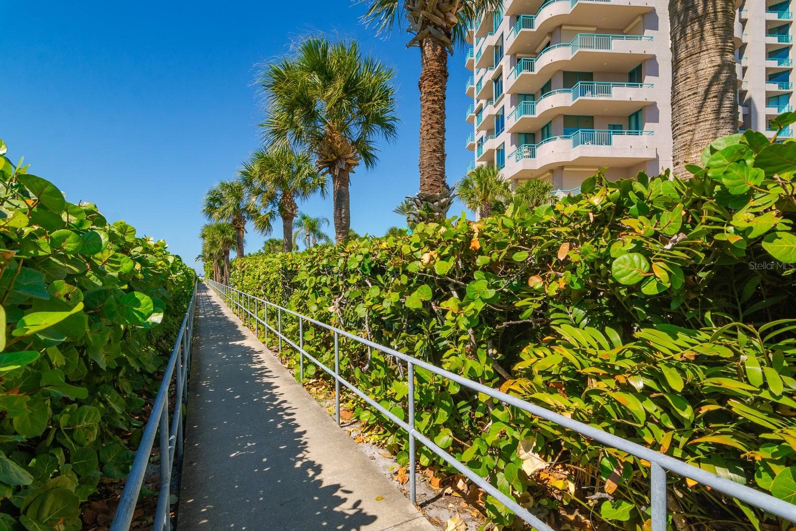 Walking Grounds - 1560 GULF BLVD #1507, CLEARWATER BEACH