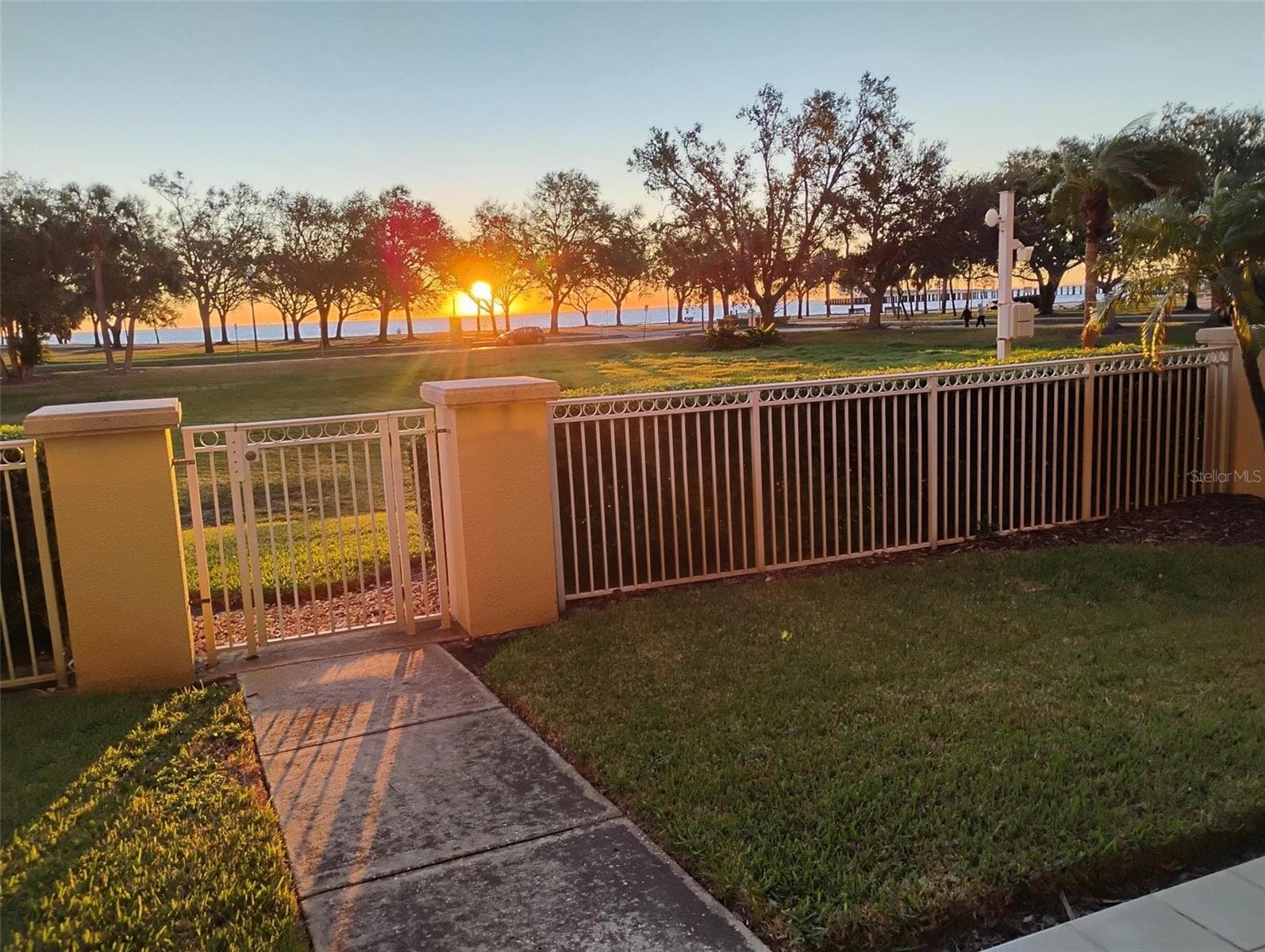 Sunrise from courtyard - 555 5TH AVE NE #183, ST PETERSBURG
