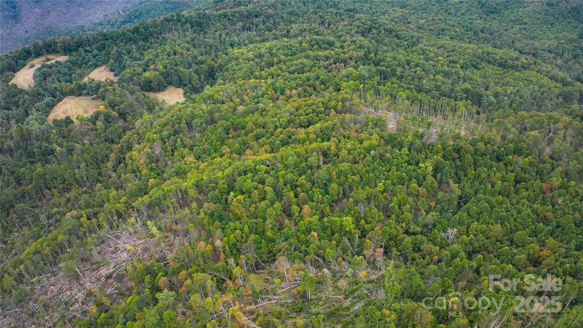 Acreage at 999 Poplar Creek Road, Green Mountain, photo 8 of 15