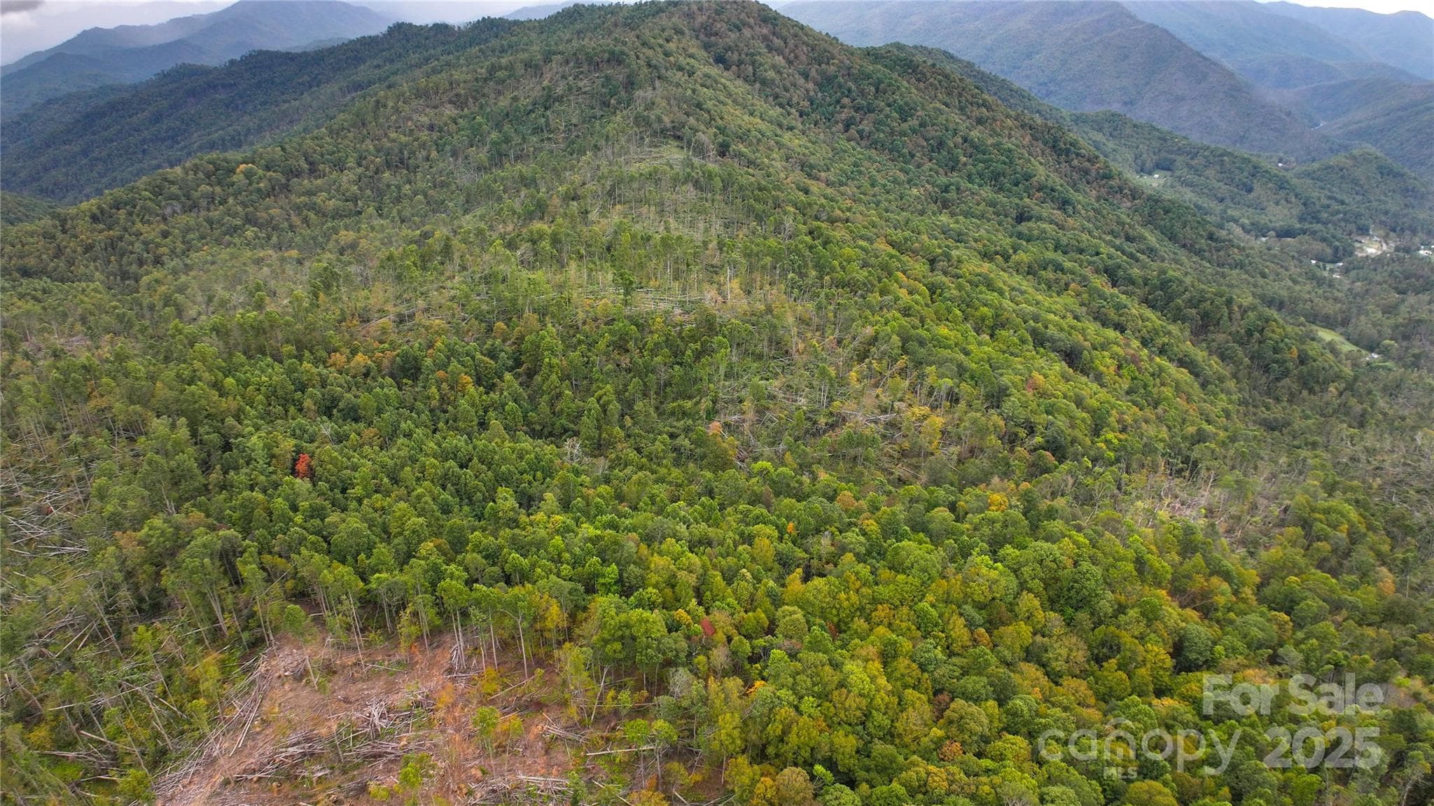 Acreage at 999 Poplar Creek Road, Green Mountain, photo 9 of 15