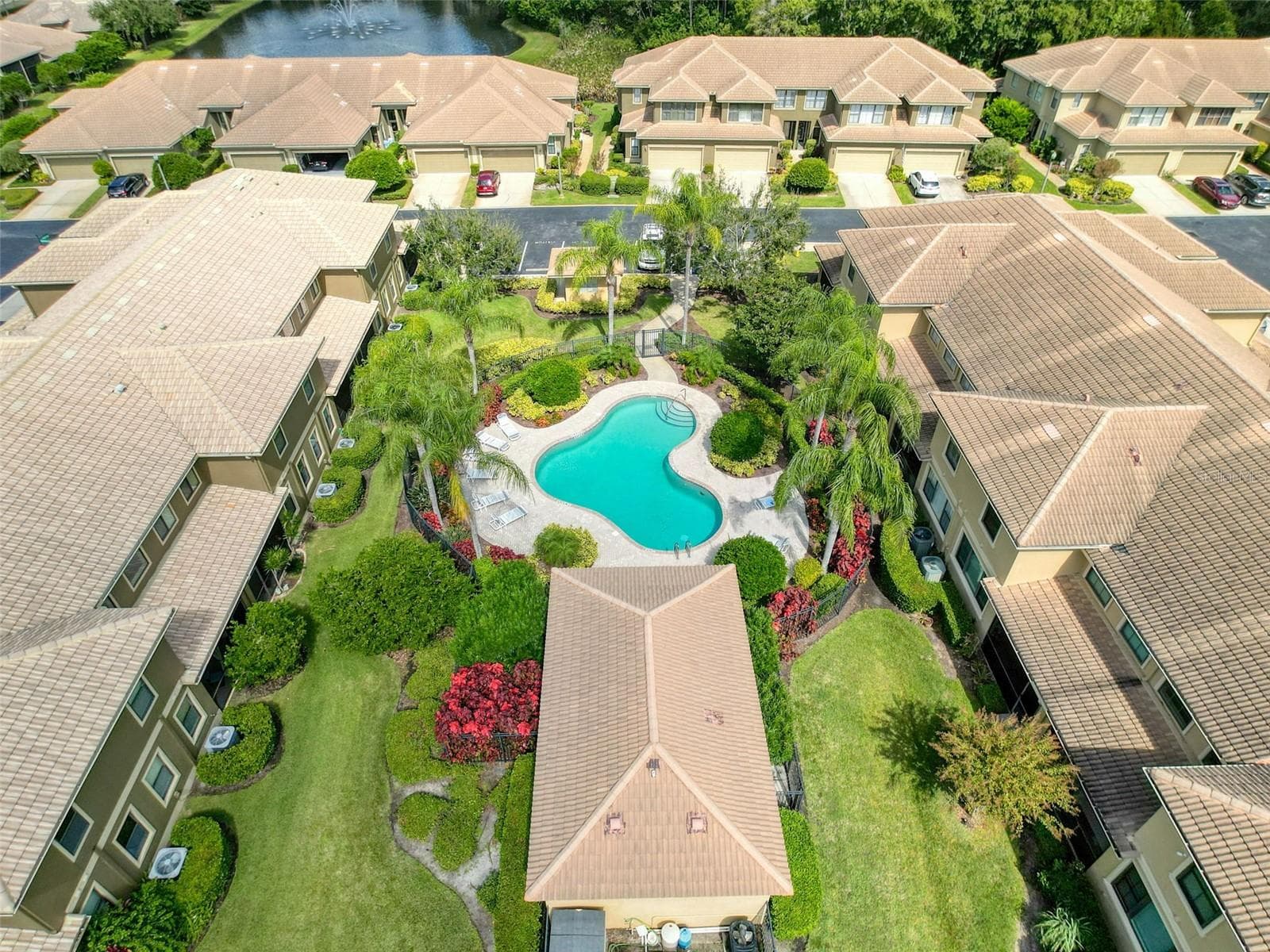 Aerial view of the community pool - 2539 SILVERBACK CT, PALM HARBOR