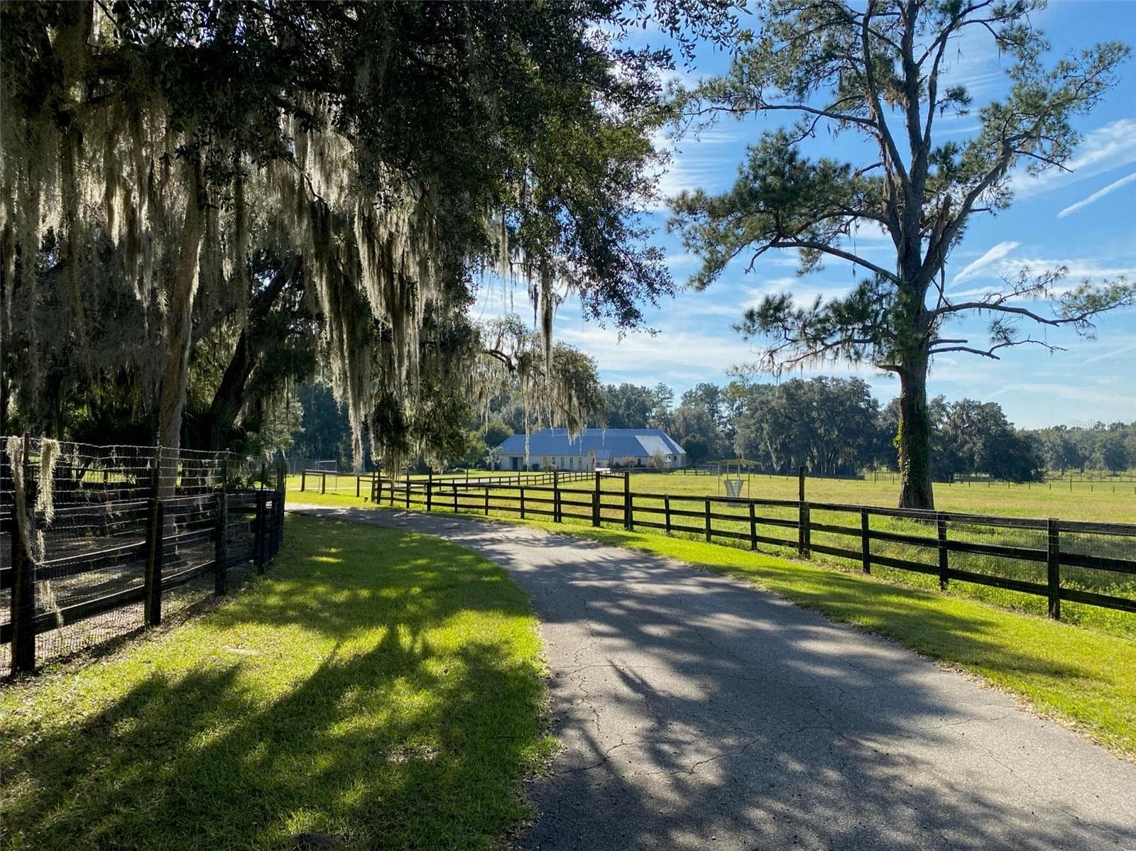Farm at 19350 NW 123RD CT, MICANOPY, photo 19 of 54
