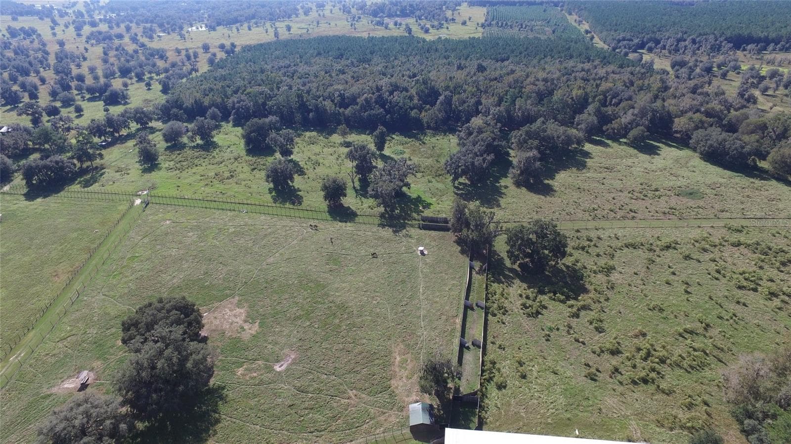 Farm at 19350 NW 123RD CT, MICANOPY, photo 32 of 54
