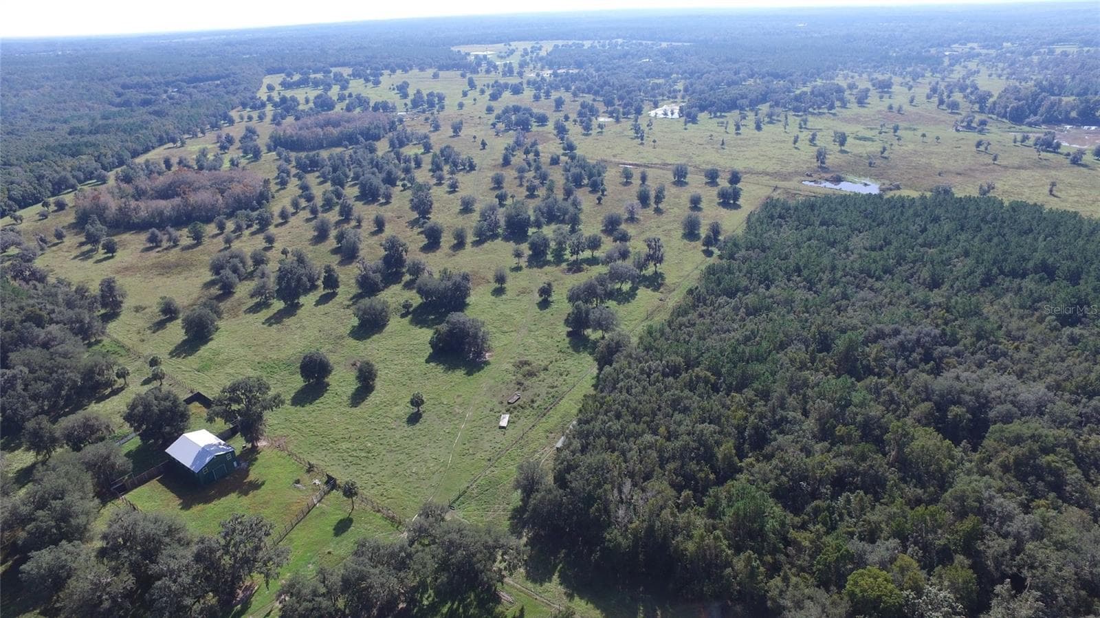 Farm at 19350 NW 123RD CT, MICANOPY, photo 33 of 54