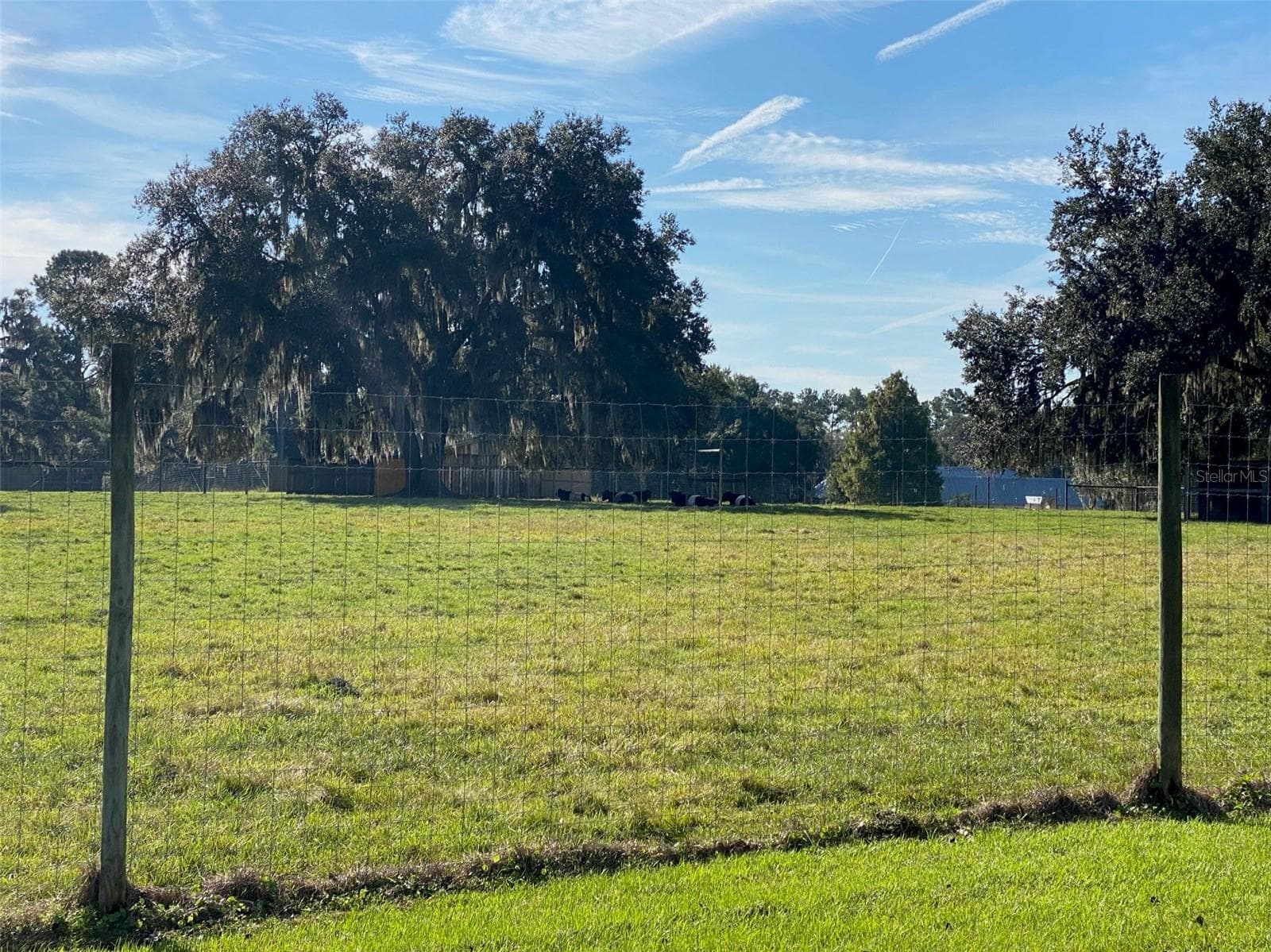Farm at 19350 NW 123RD CT, MICANOPY, photo 35 of 54