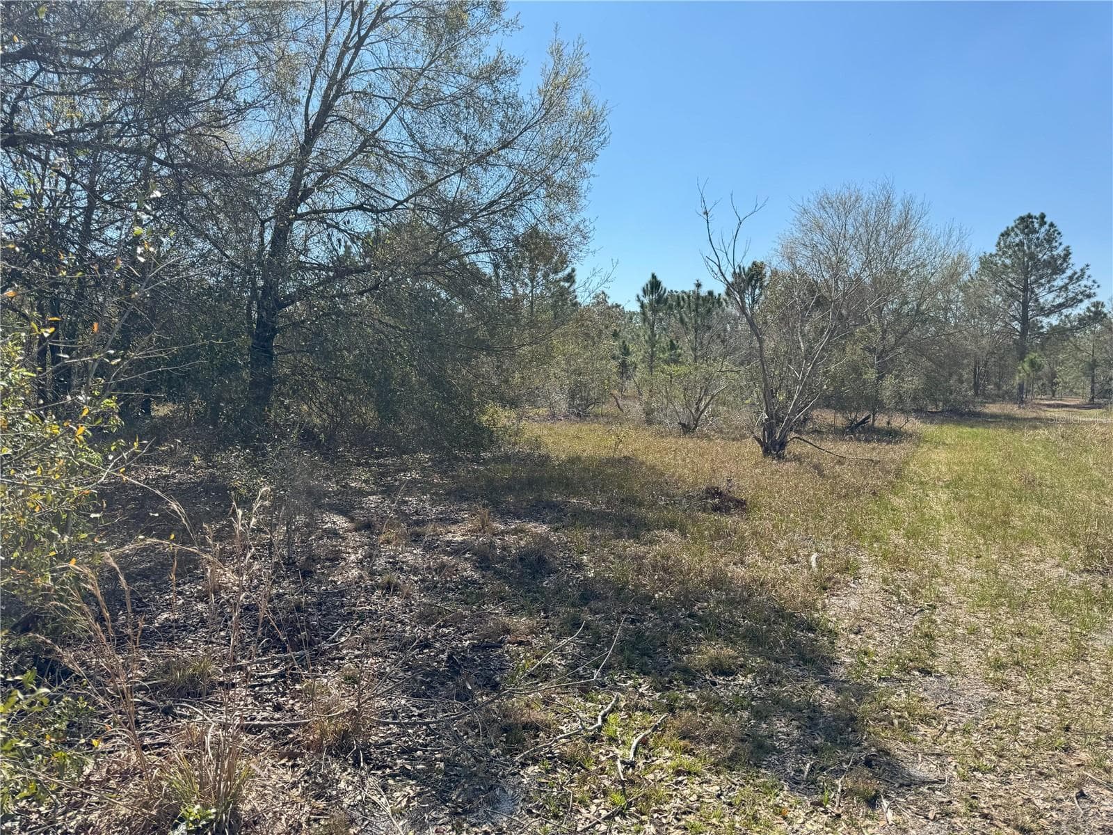 Land at 0 LAKE BUFFUM RD, LAKE WALES, photo 4 of 21