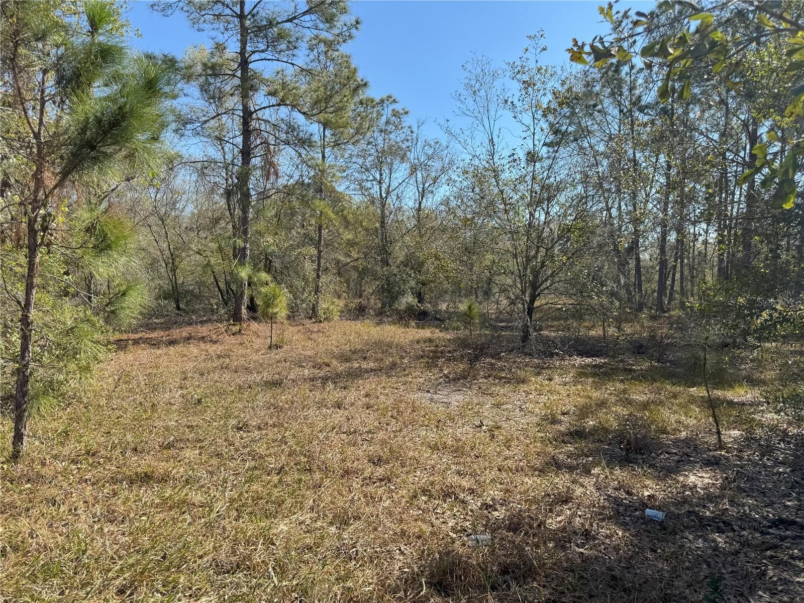 Land at 0 LAKE BUFFUM RD, LAKE WALES, photo 8 of 21