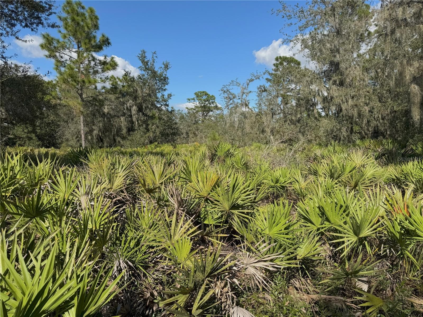 Land at 0 ALTURAS BABSON PARK CUT OFF RD, BARTOW, photo 3 of 22