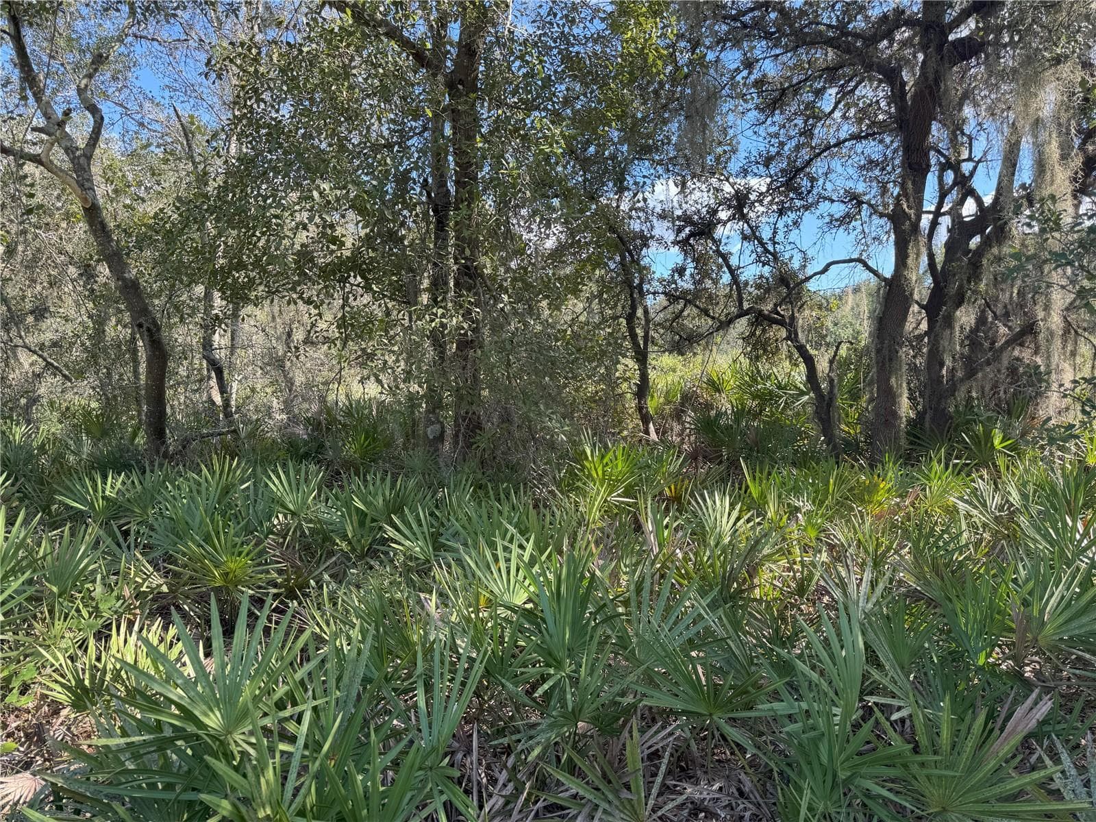 Land at 0 ALTURAS BABSON PARK CUT OFF RD, BARTOW, photo 4 of 22