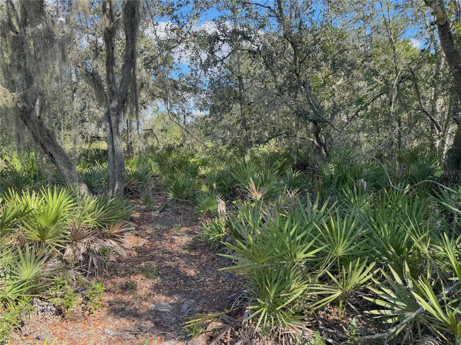 Land at 0 ALTURAS BABSON PARK CUT OFF RD, BARTOW, photo 5 of 22