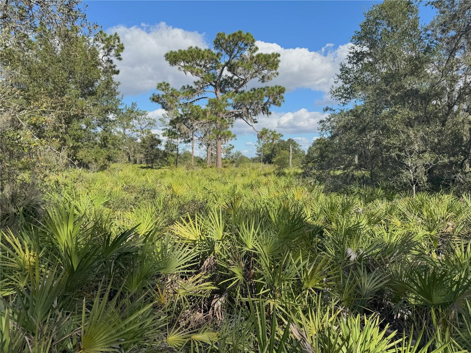 Land at 0 ALTURAS BABSON PARK CUT OFF RD, BARTOW, photo 6 of 22