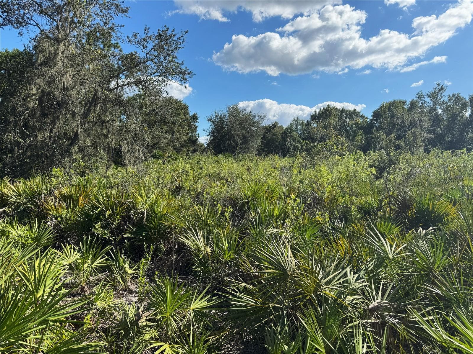 Land at 0 ALTURAS BABSON PARK CUT OFF RD, BARTOW, photo 8 of 22