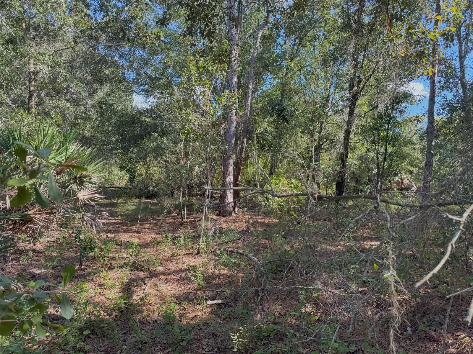 Land at 0 ALTURAS BABSON PARK CUT OFF RD, BARTOW, photo 13 of 22