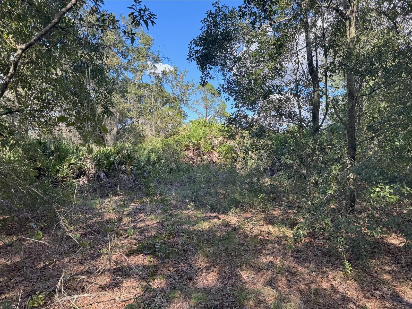 Land at 0 ALTURAS BABSON PARK CUT OFF RD, BARTOW, photo 15 of 22