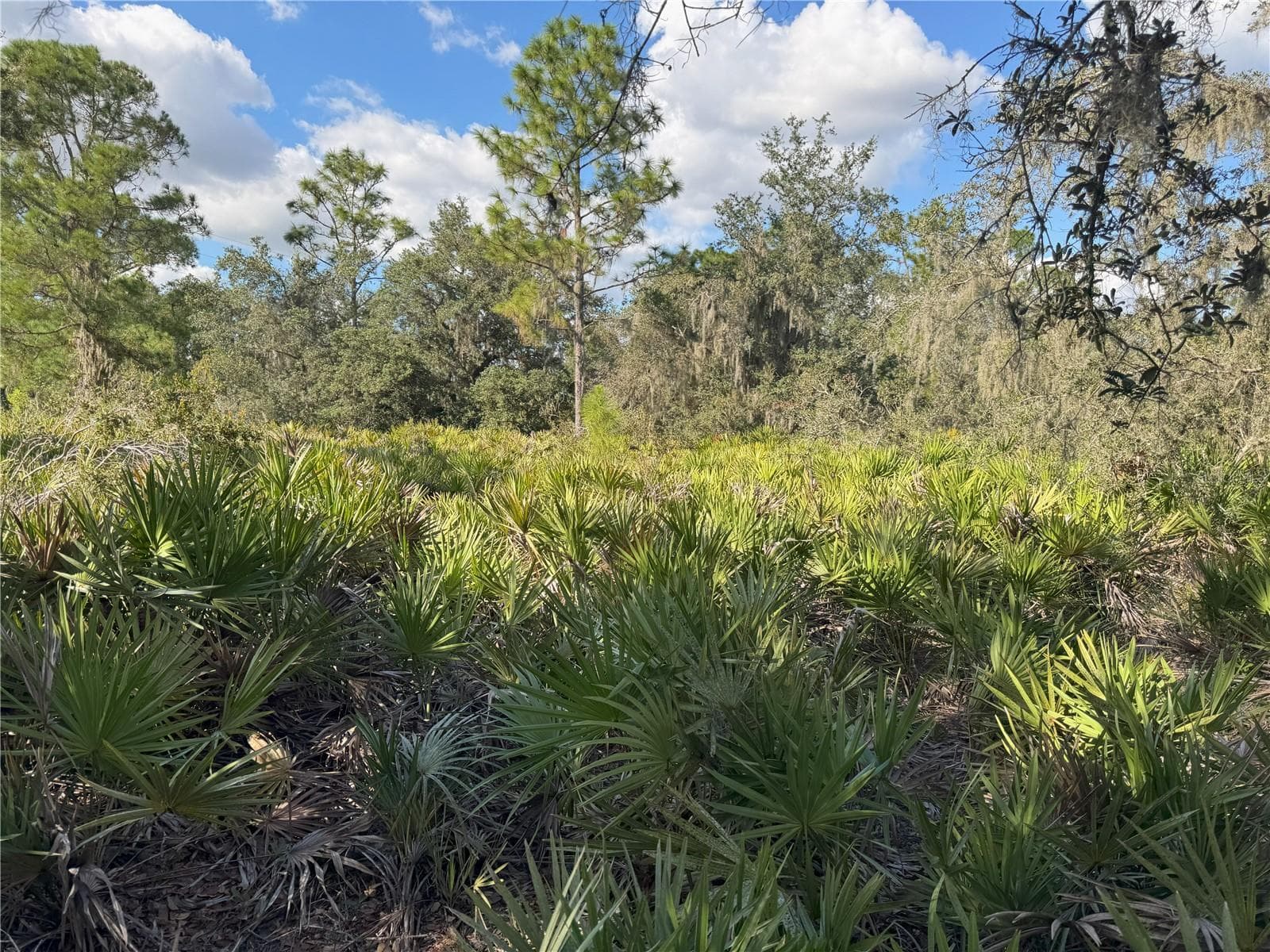 Land at 0 ALTURAS BABSON PARK CUT OFF RD, BARTOW, photo 19 of 22
