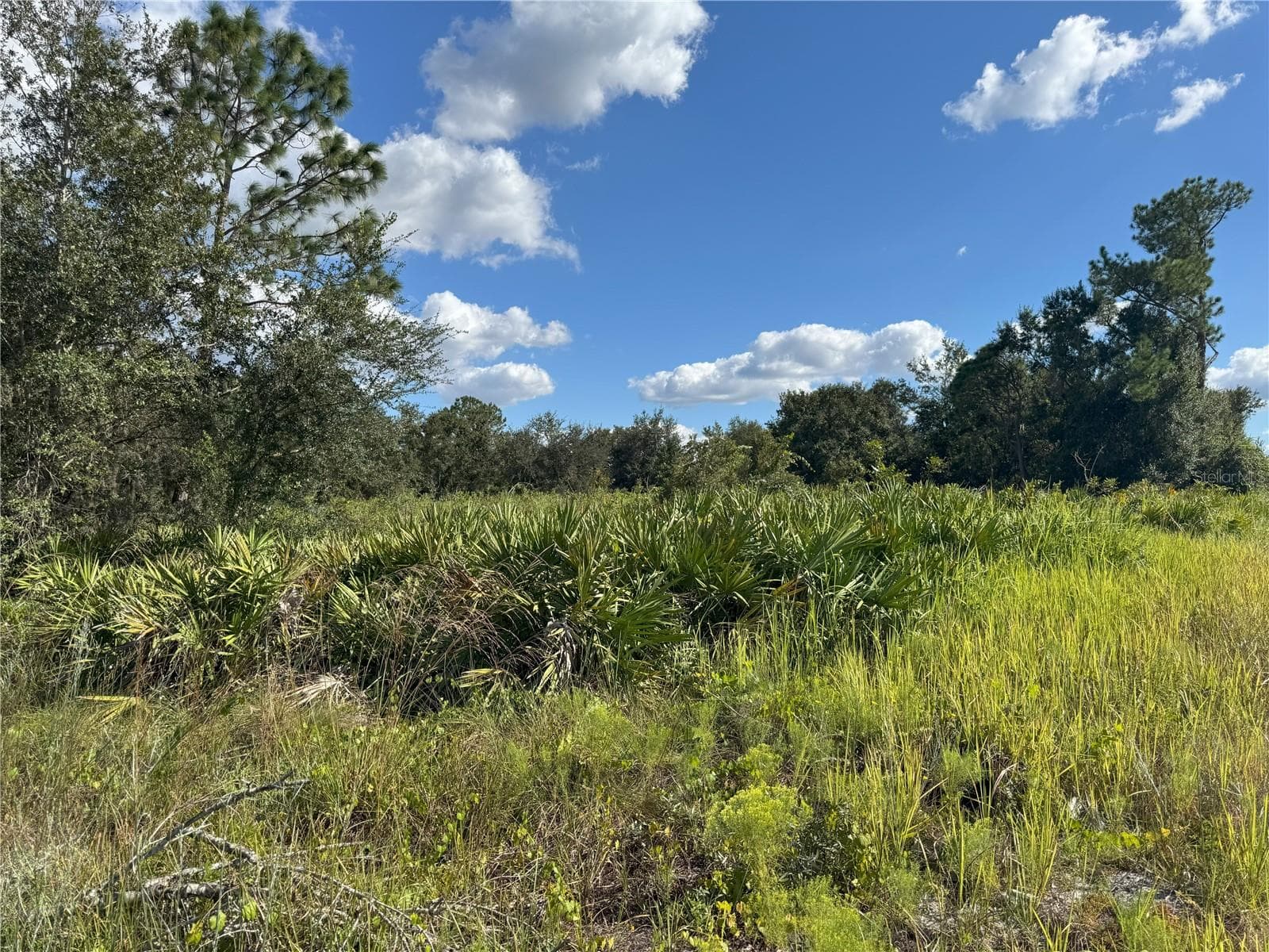 Land at 0 ALTURAS BABSON PARK CUT OFF RD, BARTOW, photo 20 of 22