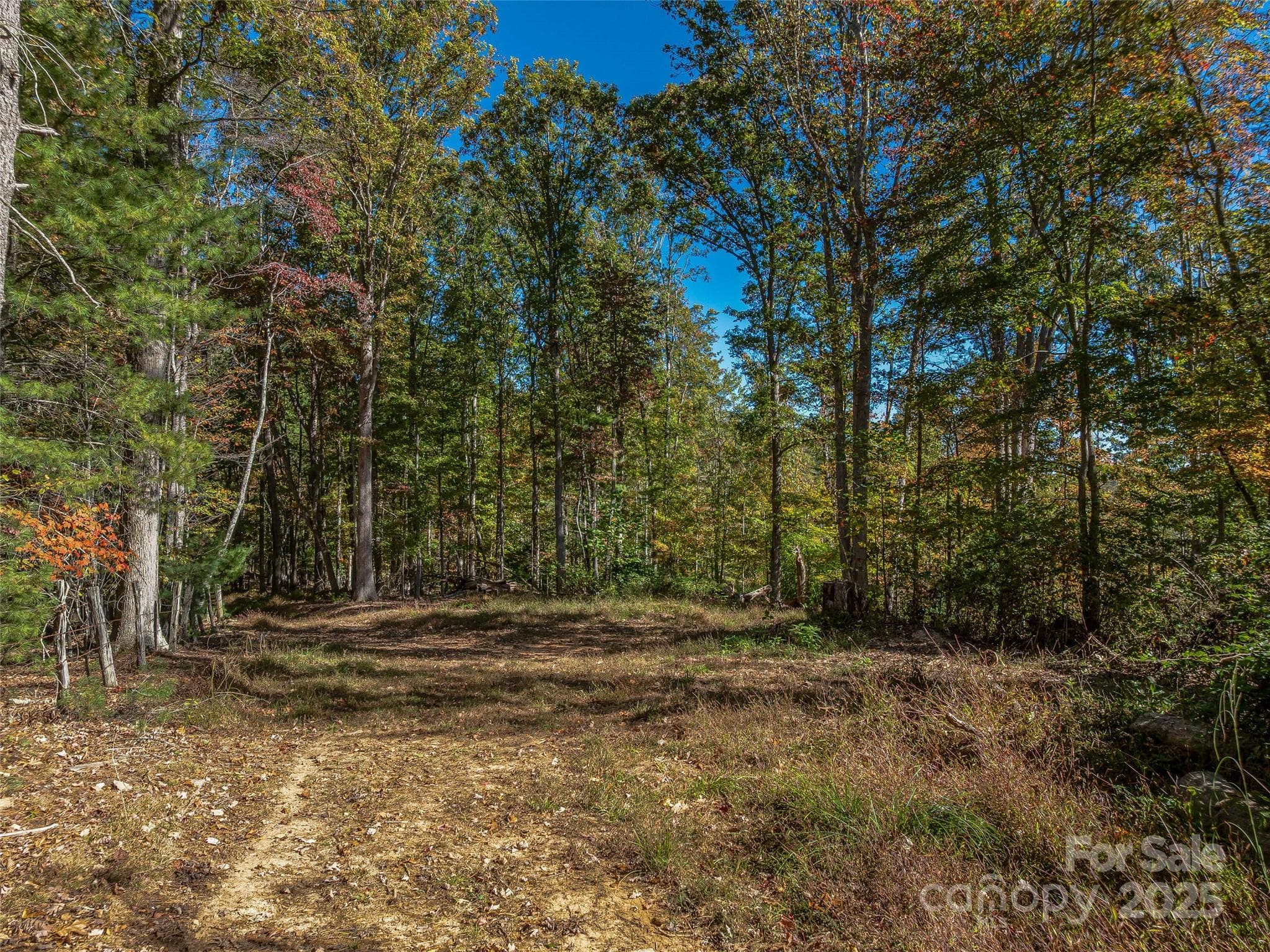 Multiple flat areas for build site. - 99999 Meadows Town Road, Marshall