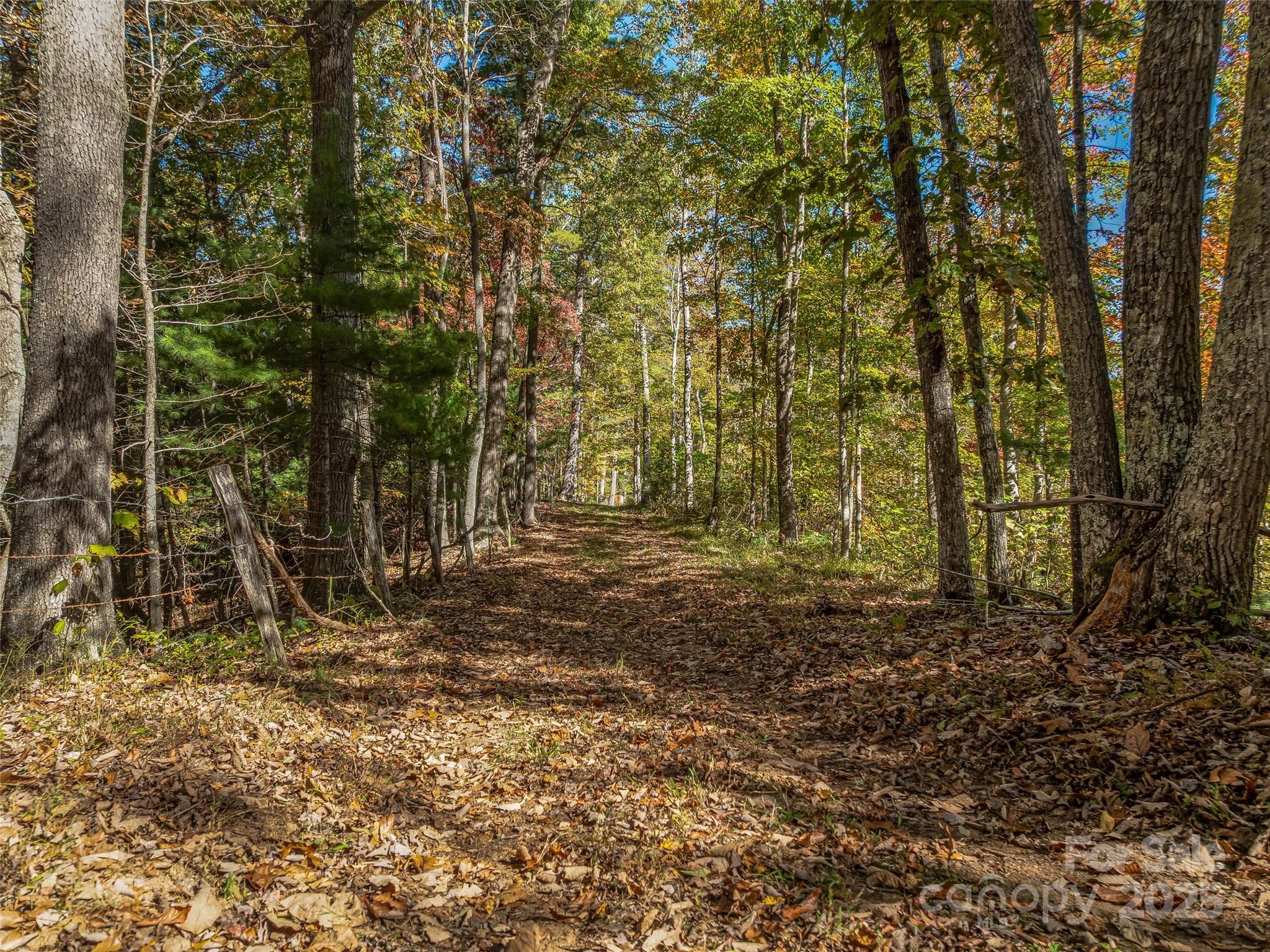 Roads throughout the property make it easy to navigate through the property. - 99999 Meadows Town Road, Marshall