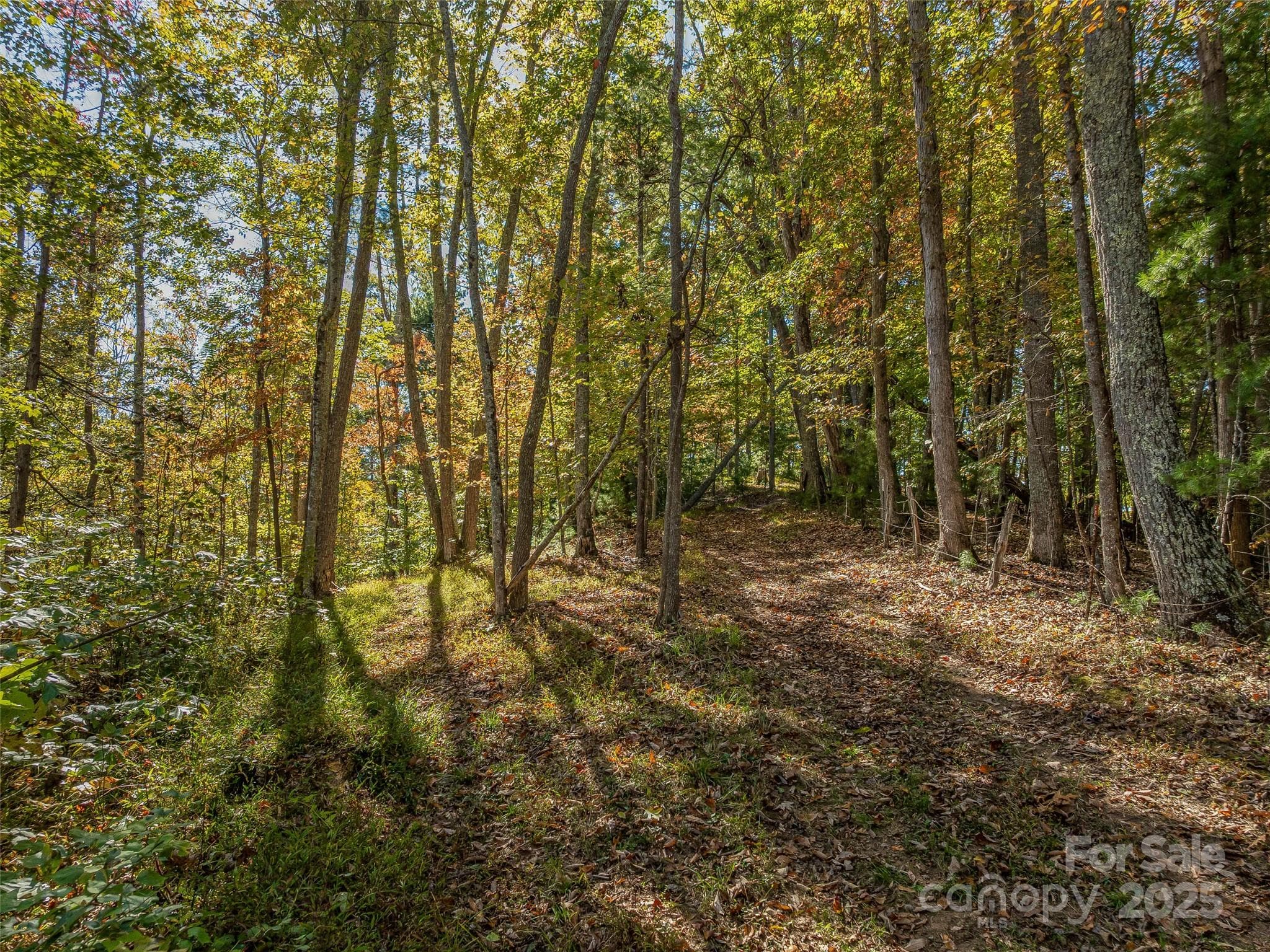 More buildable land for potential build site. - 99999 Meadows Town Road, Marshall
