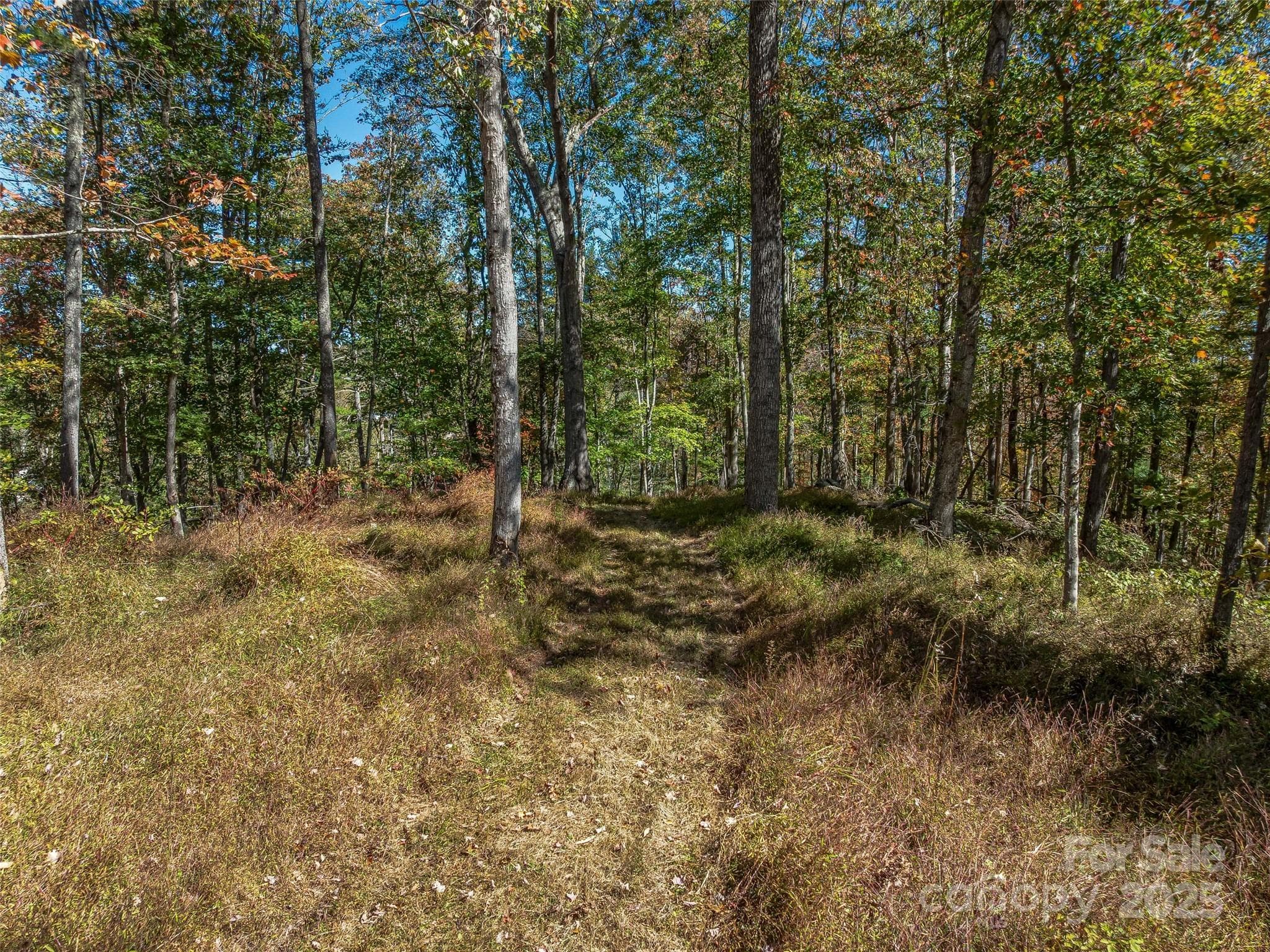 Another nice potential build site. - 99999 Meadows Town Road, Marshall