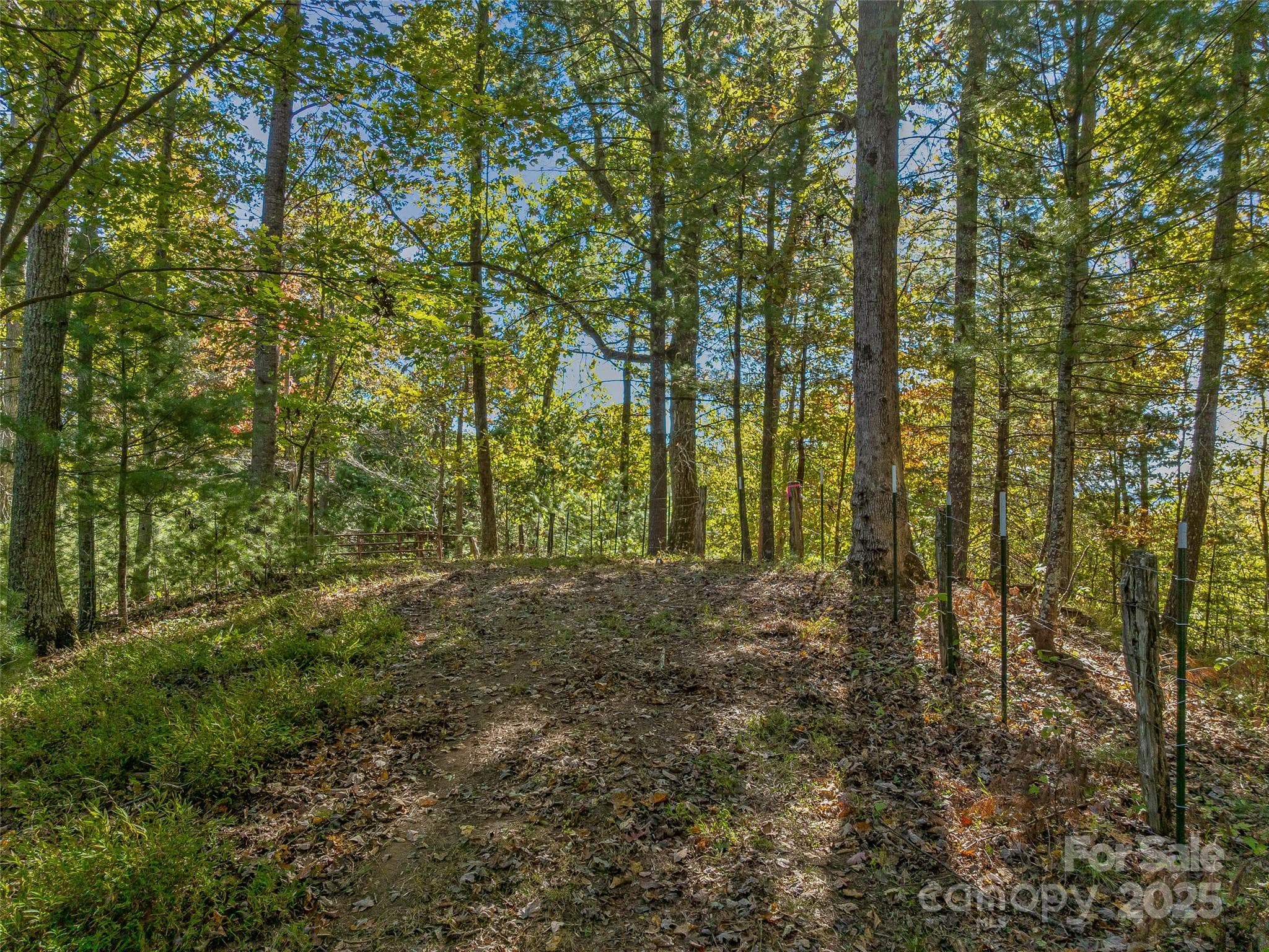Roads throughout lead to excellent build sites. - 99999 Meadows Town Road, Marshall