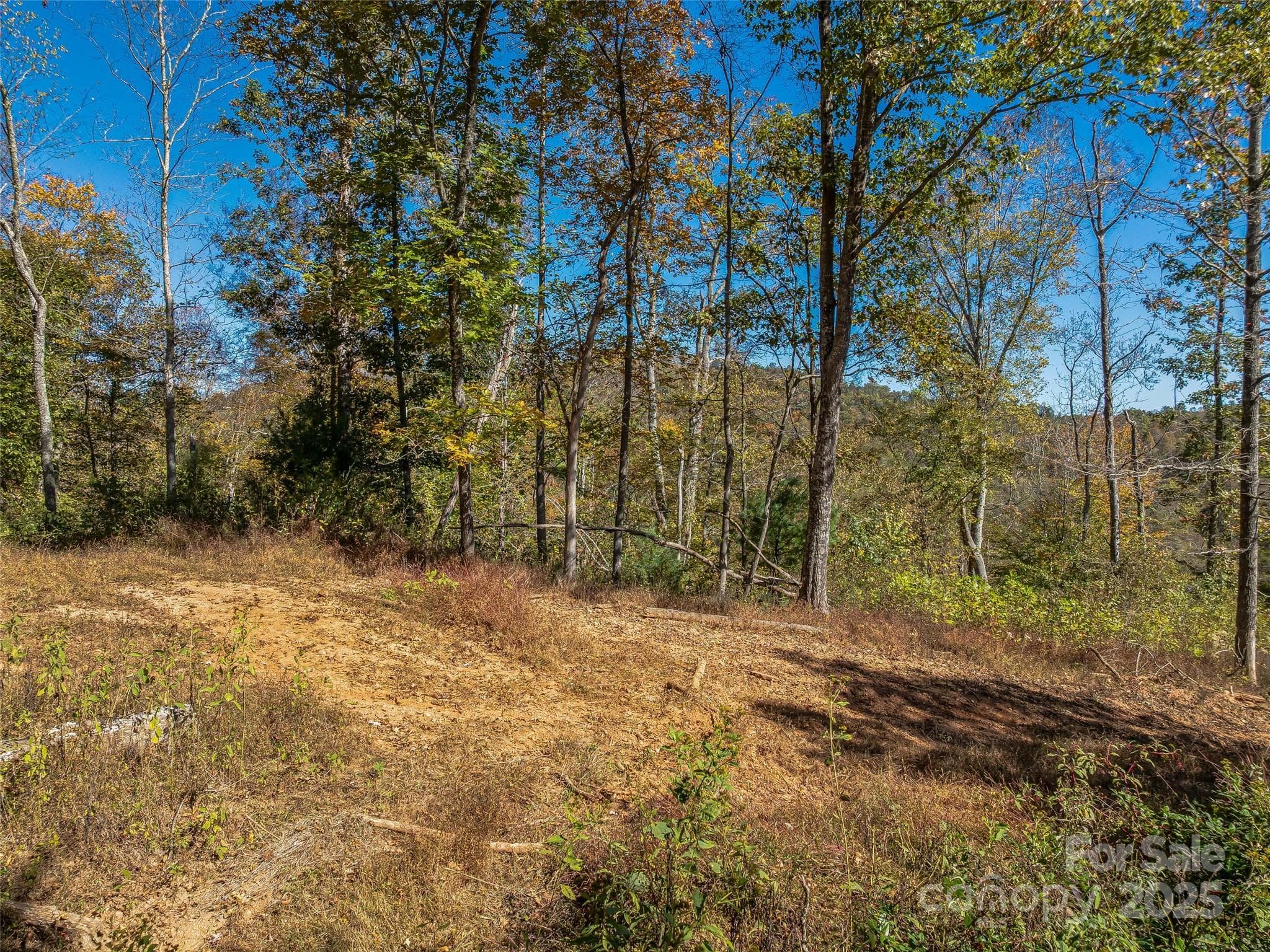 Another possible build site cleared and ready for your house plans! - 99999 Meadows Town Road, Marshall