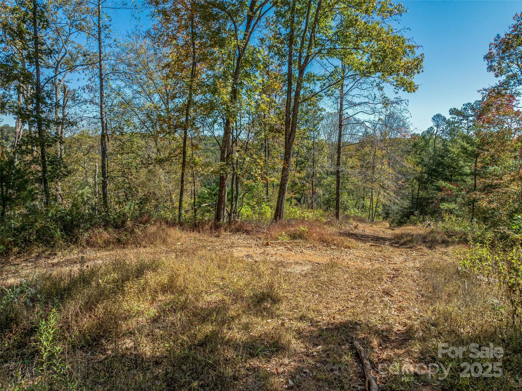 Excellent long range mountain view possibilities! - 99999 Meadows Town Road, Marshall