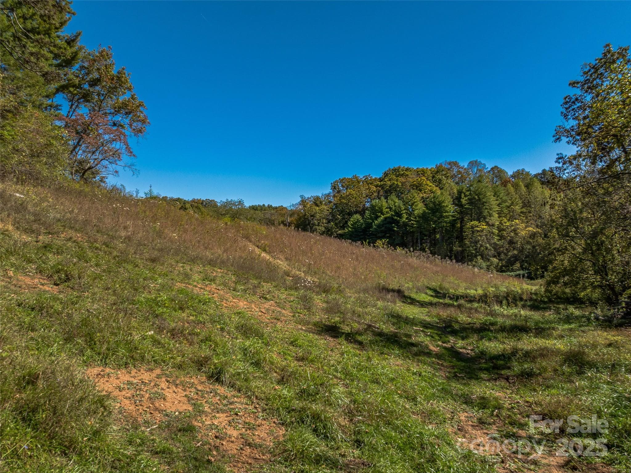 Acreage at 99999 Meadows Town Road, Marshall, photo 14 of 47