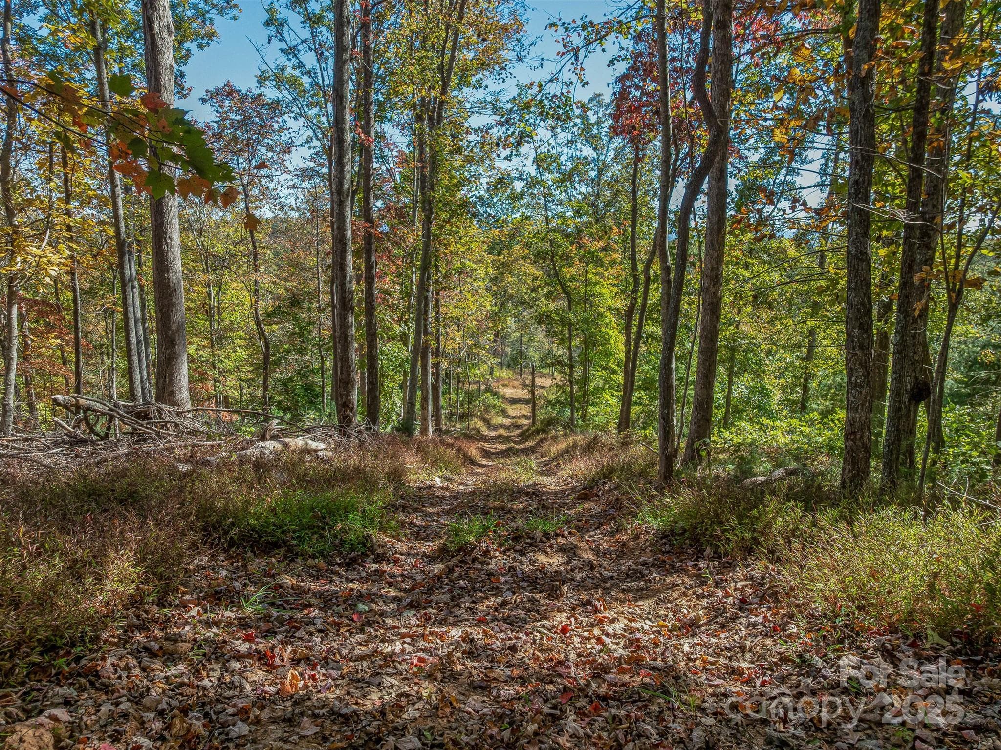 Acreage at 99999 Meadows Town Road, Marshall, photo 16 of 47