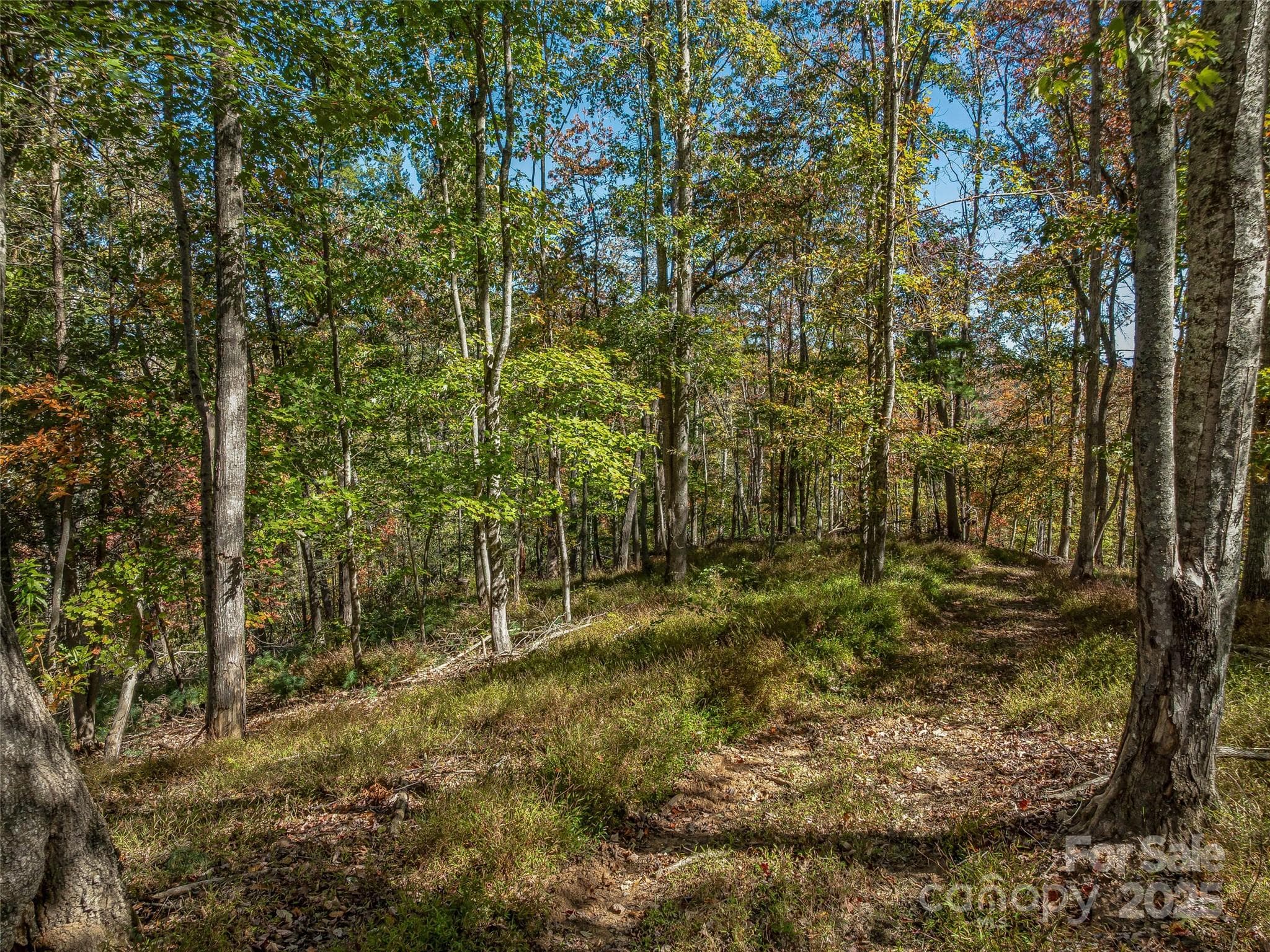 Acreage at 99999 Meadows Town Road, Marshall, photo 17 of 47