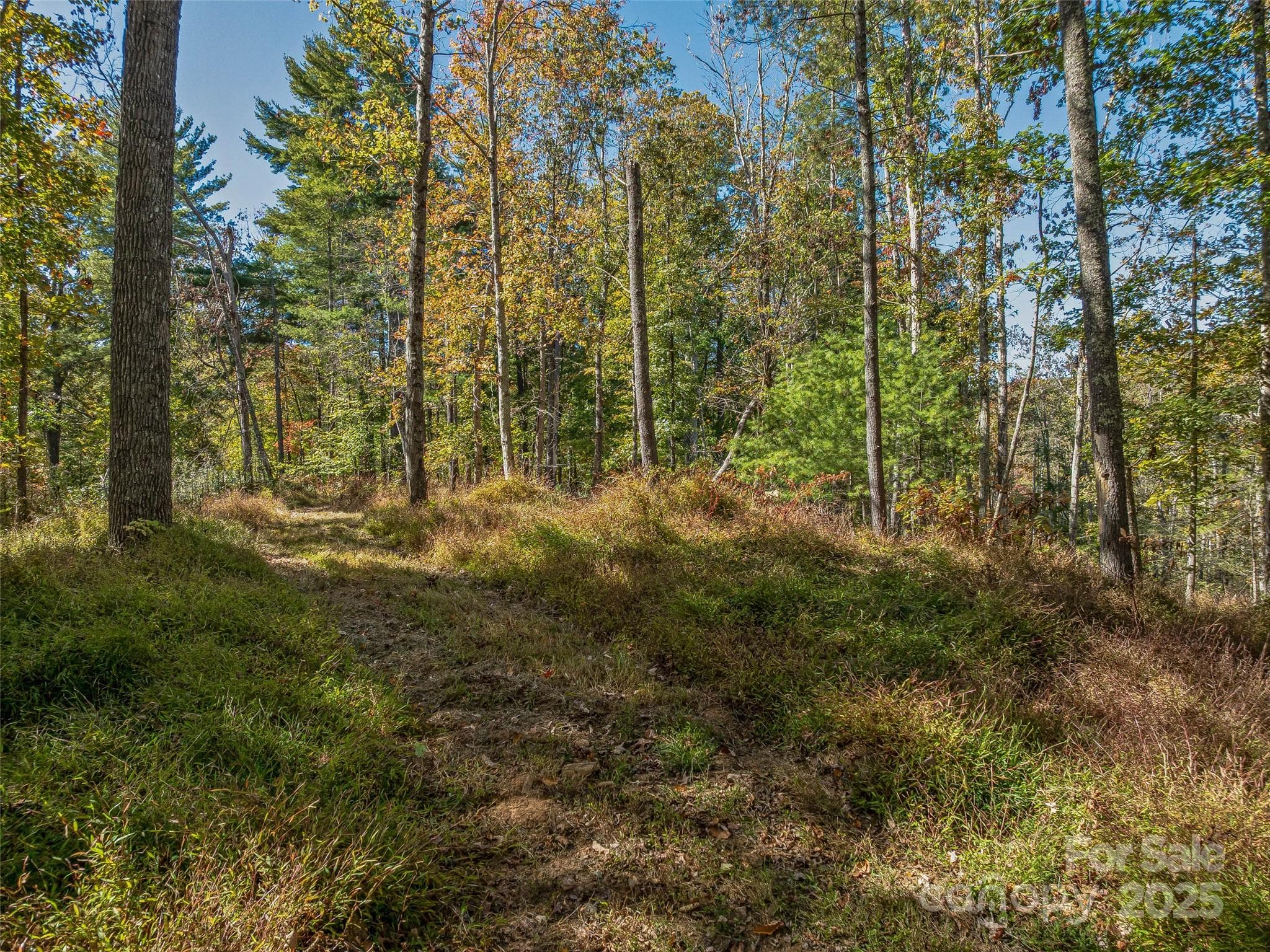 Acreage at 99999 Meadows Town Road, Marshall, photo 19 of 47