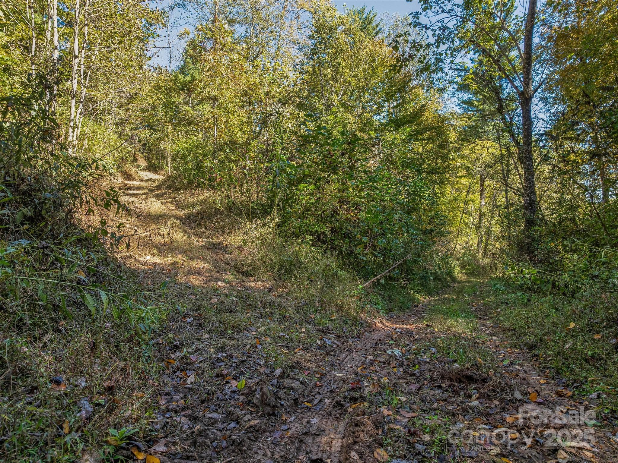 Acreage at 99999 Meadows Town Road, Marshall, photo 20 of 47