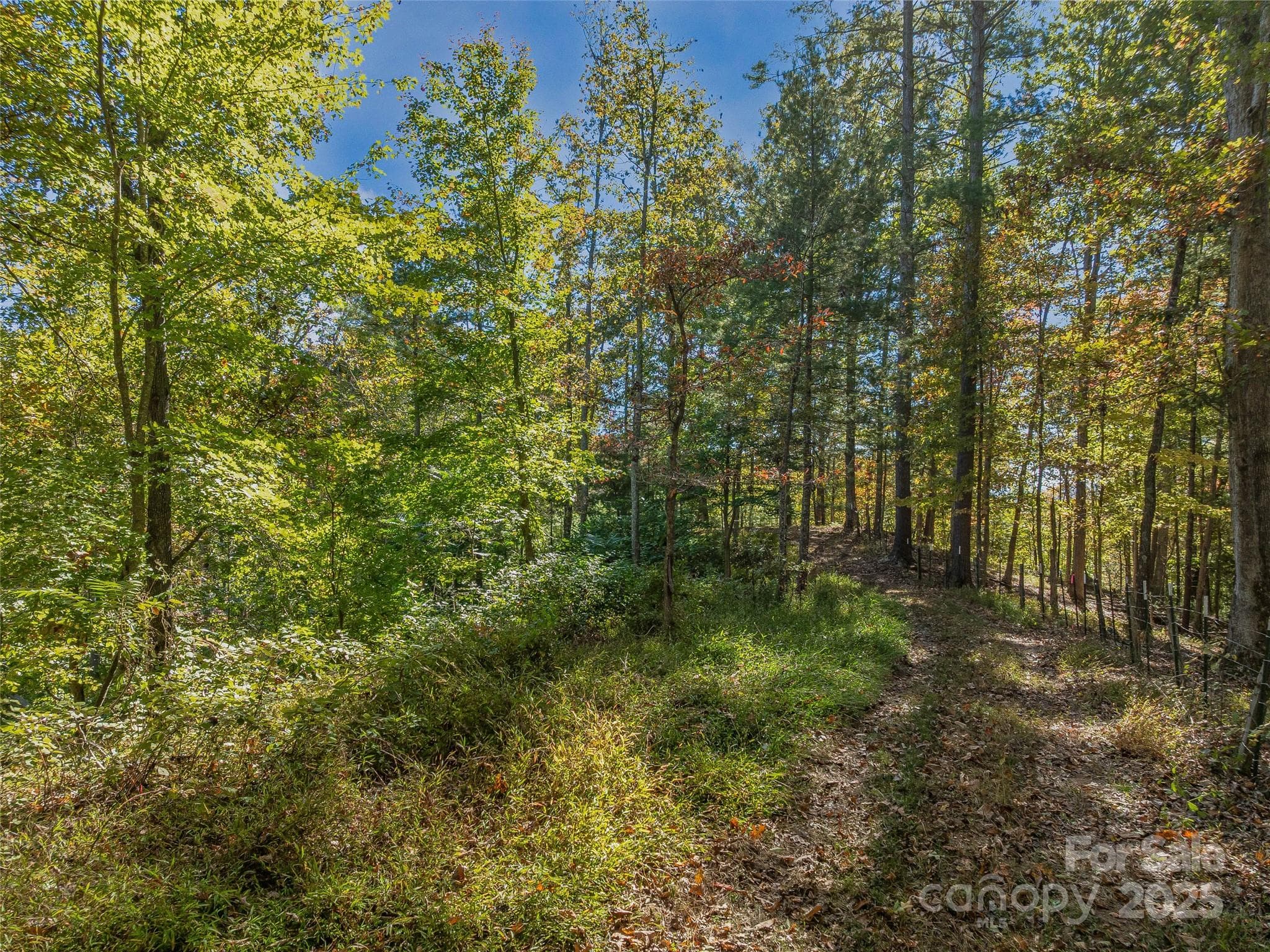 Acreage at 99999 Meadows Town Road, Marshall, photo 21 of 47