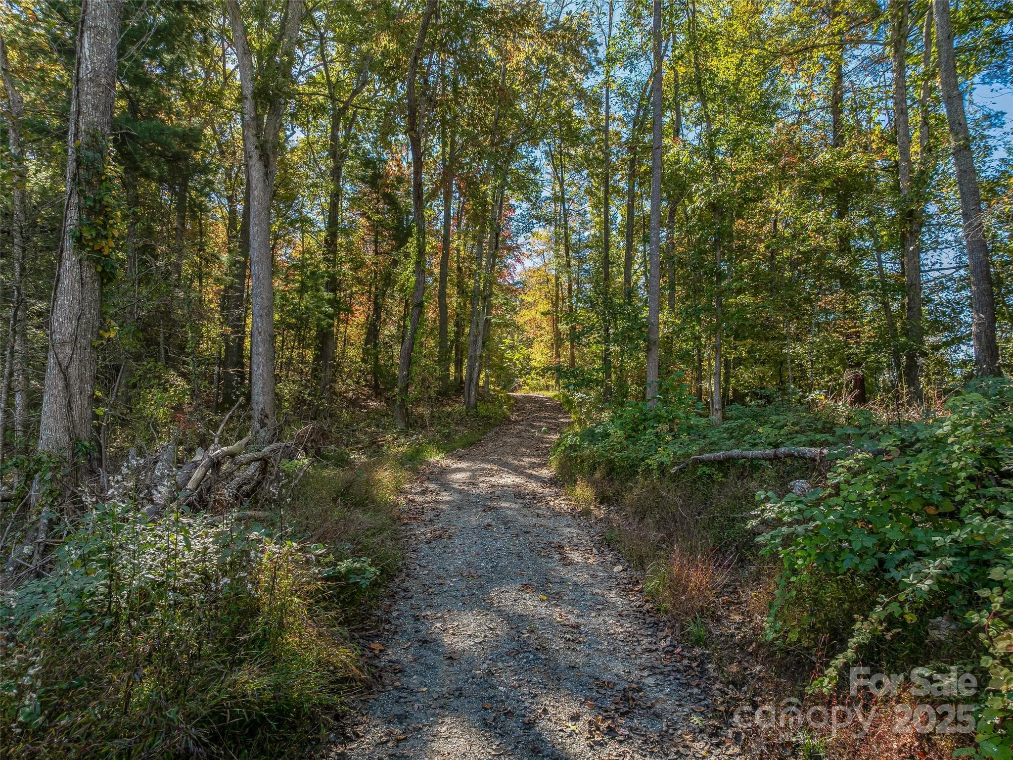 Acreage at 99999 Meadows Town Road, Marshall, photo 25 of 47