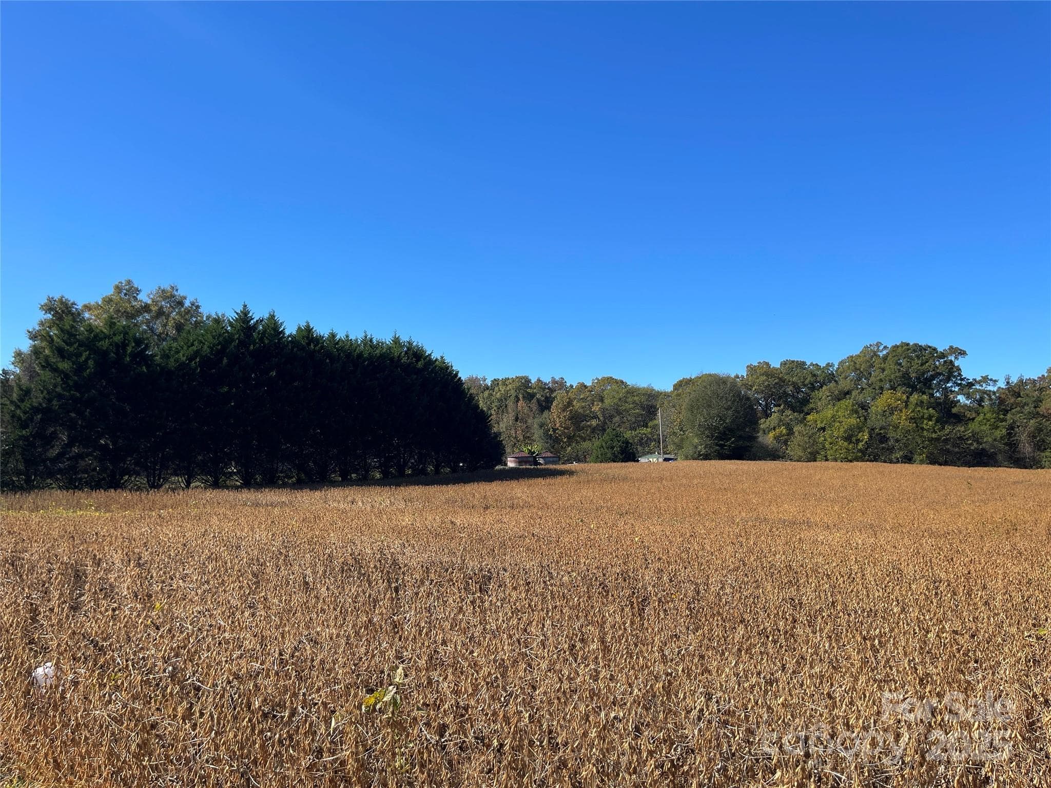 Acreage at VAC Highway 52 S Highway, Norwood, photo 2 of 4
