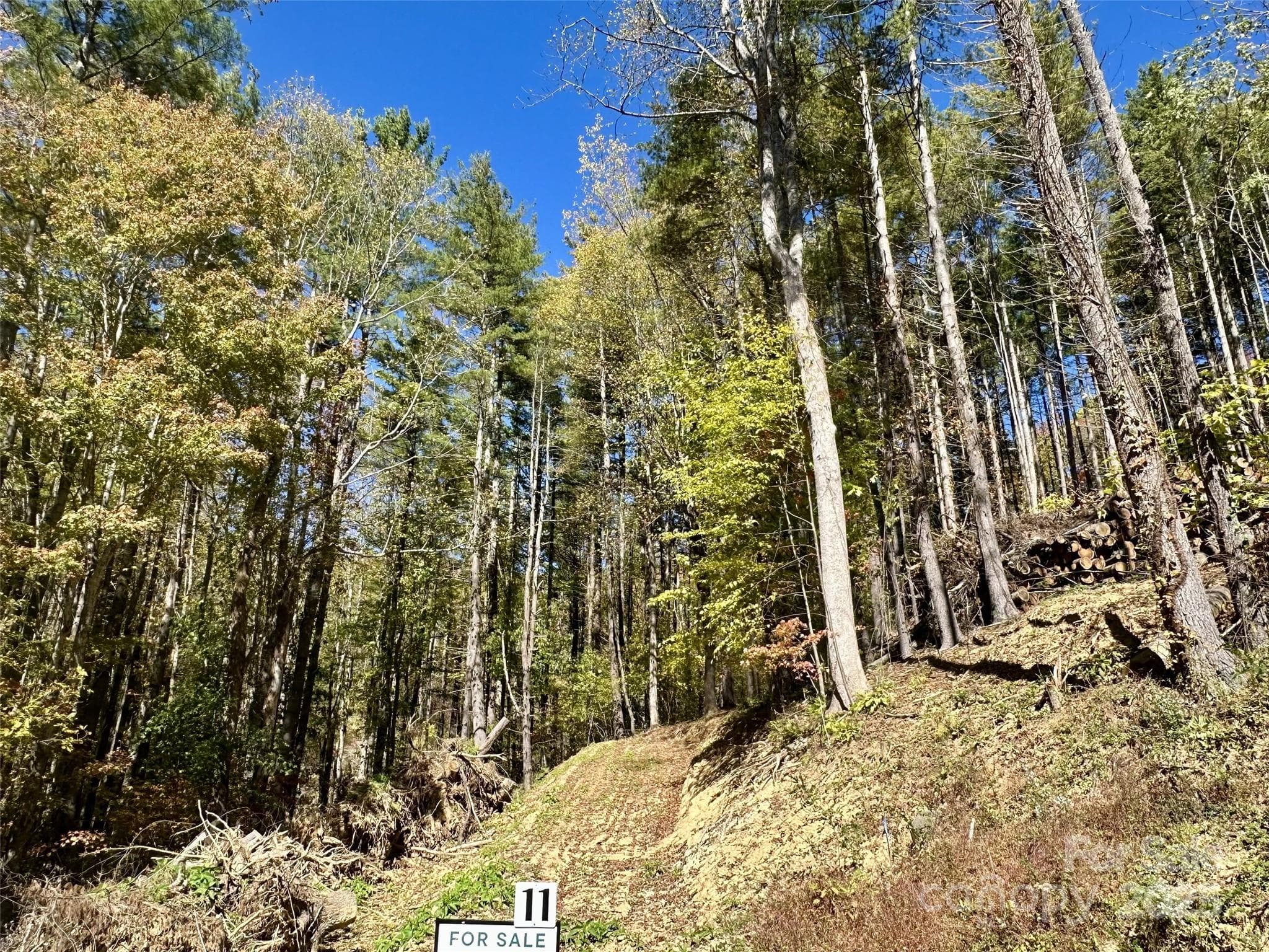 Single Family Residence at Masters Landing, Maggie Valley, photo 2 of 11