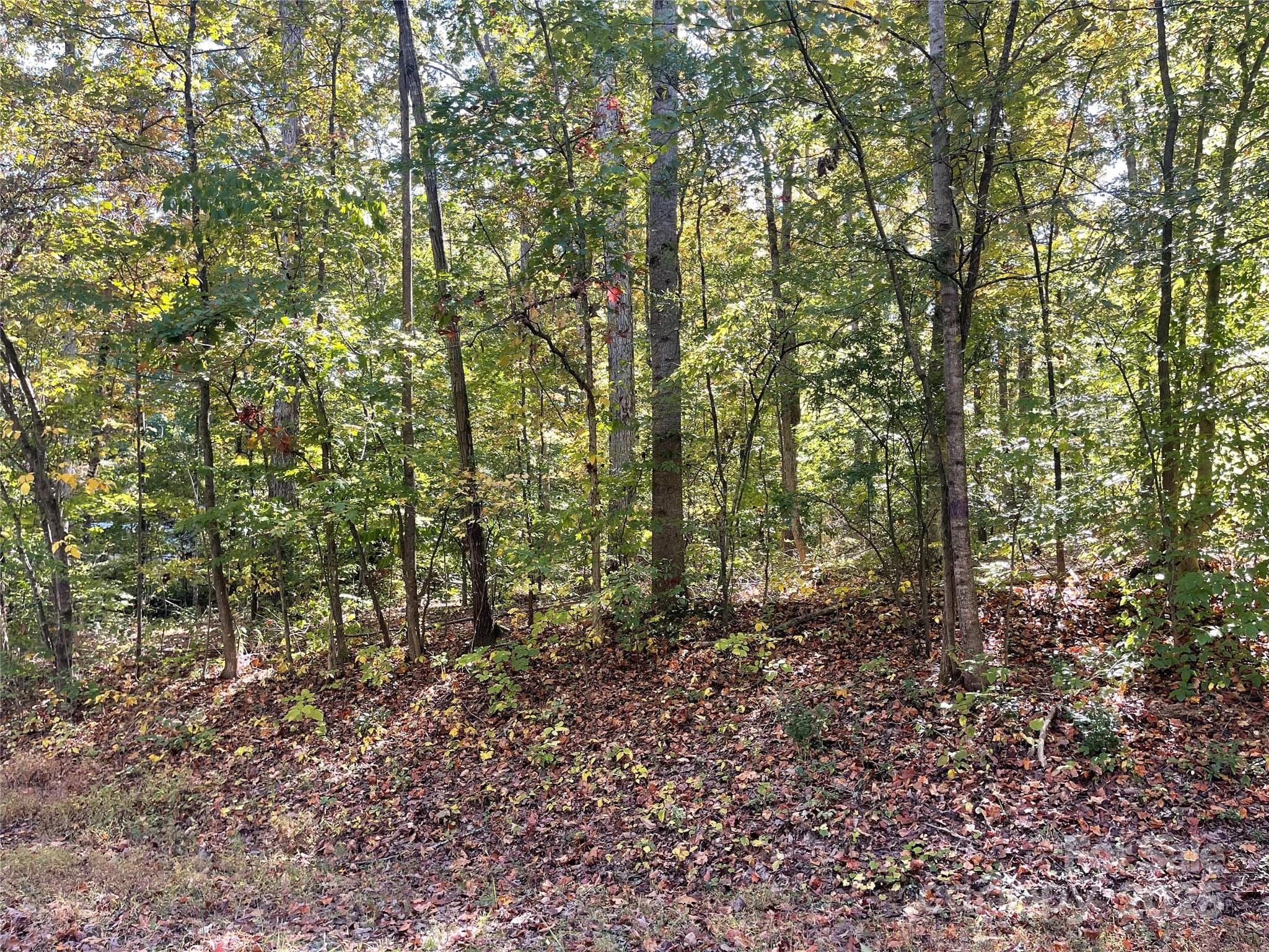 Lot at 00 Heather Lane, Mount Holly, photo 2 of 2