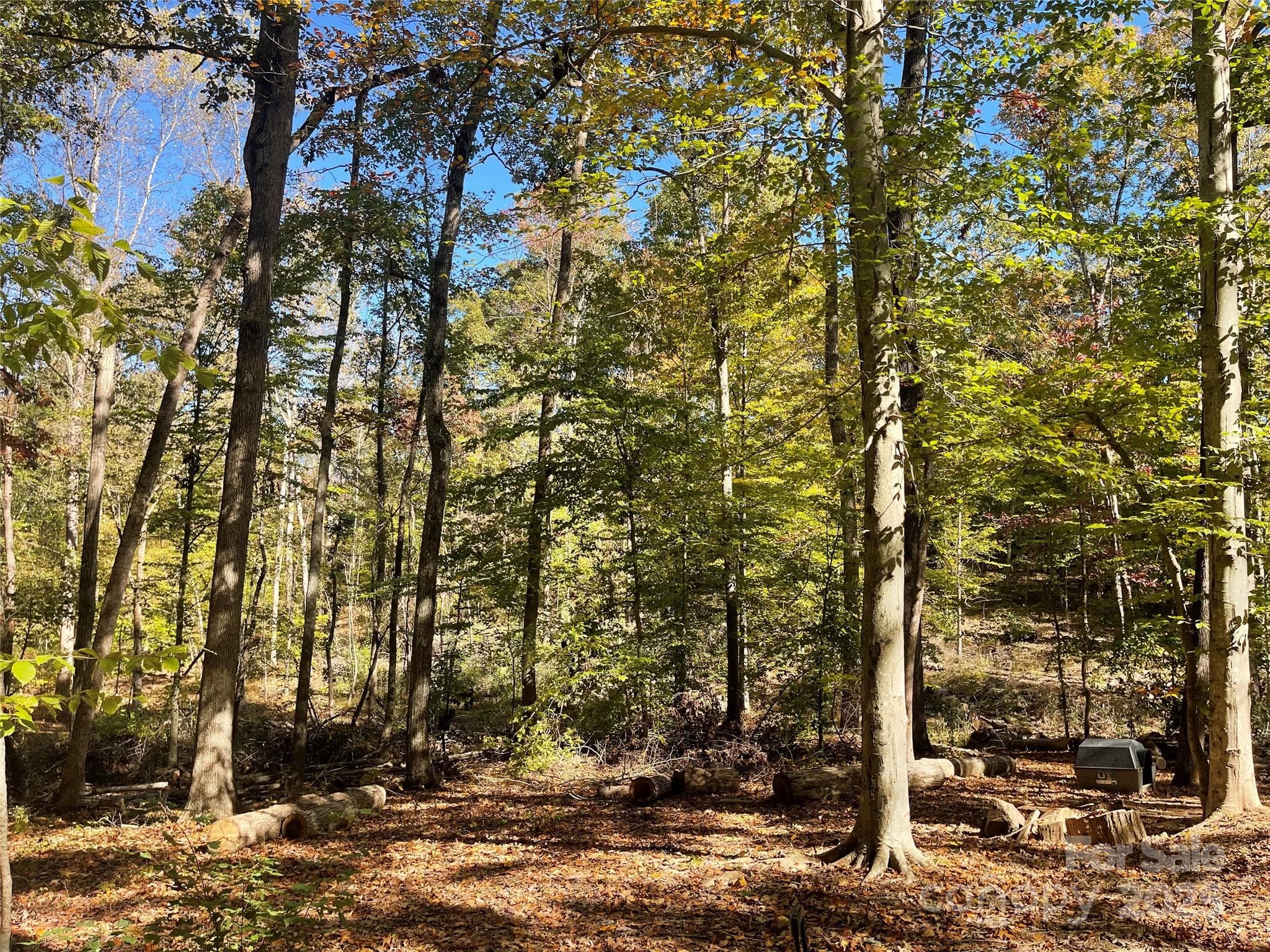 Lot at 00 Heather Lane, Mount Holly, photo 2 of 4