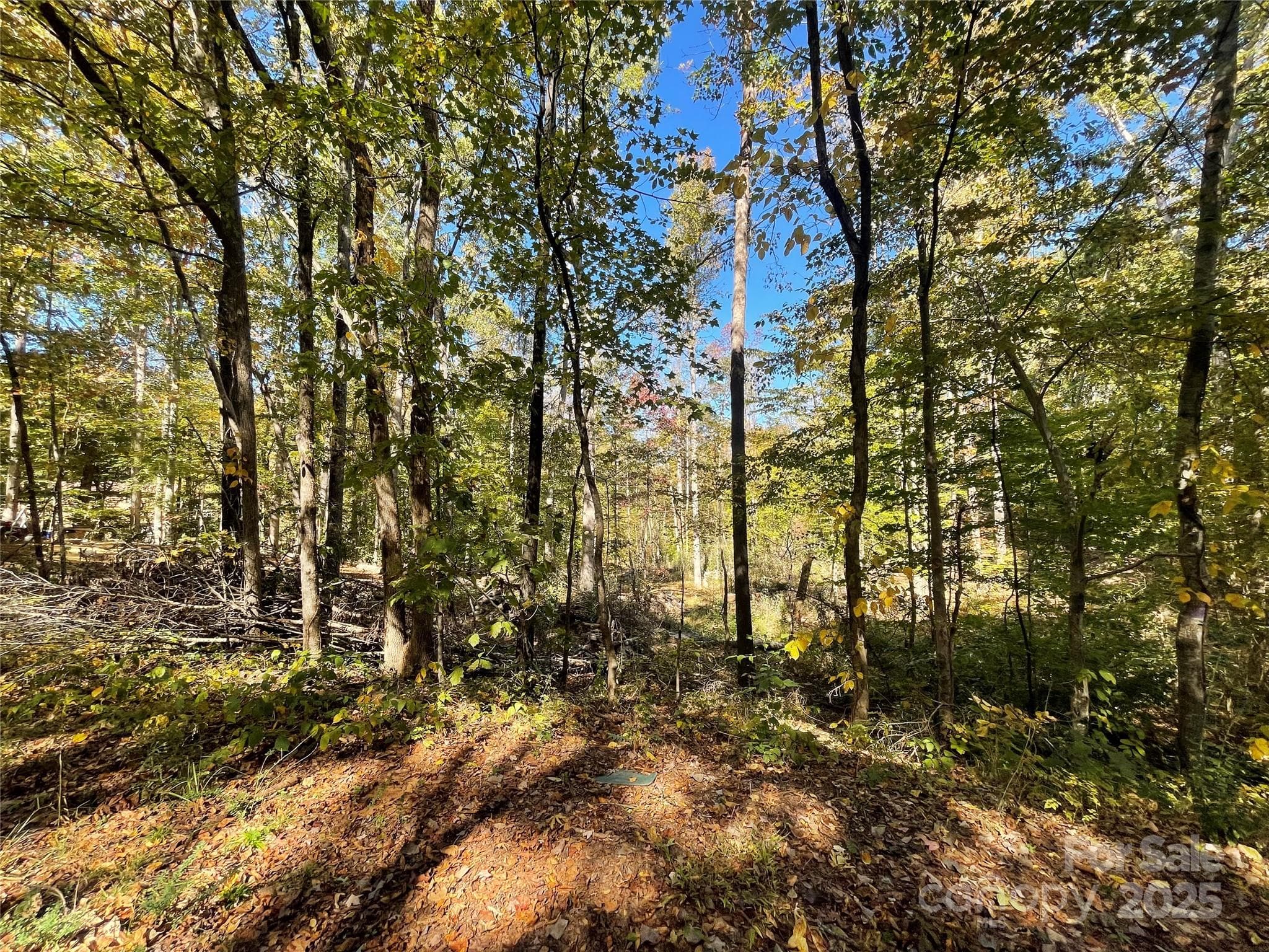Lot at 00 Heather Lane, Mount Holly, photo 4 of 4