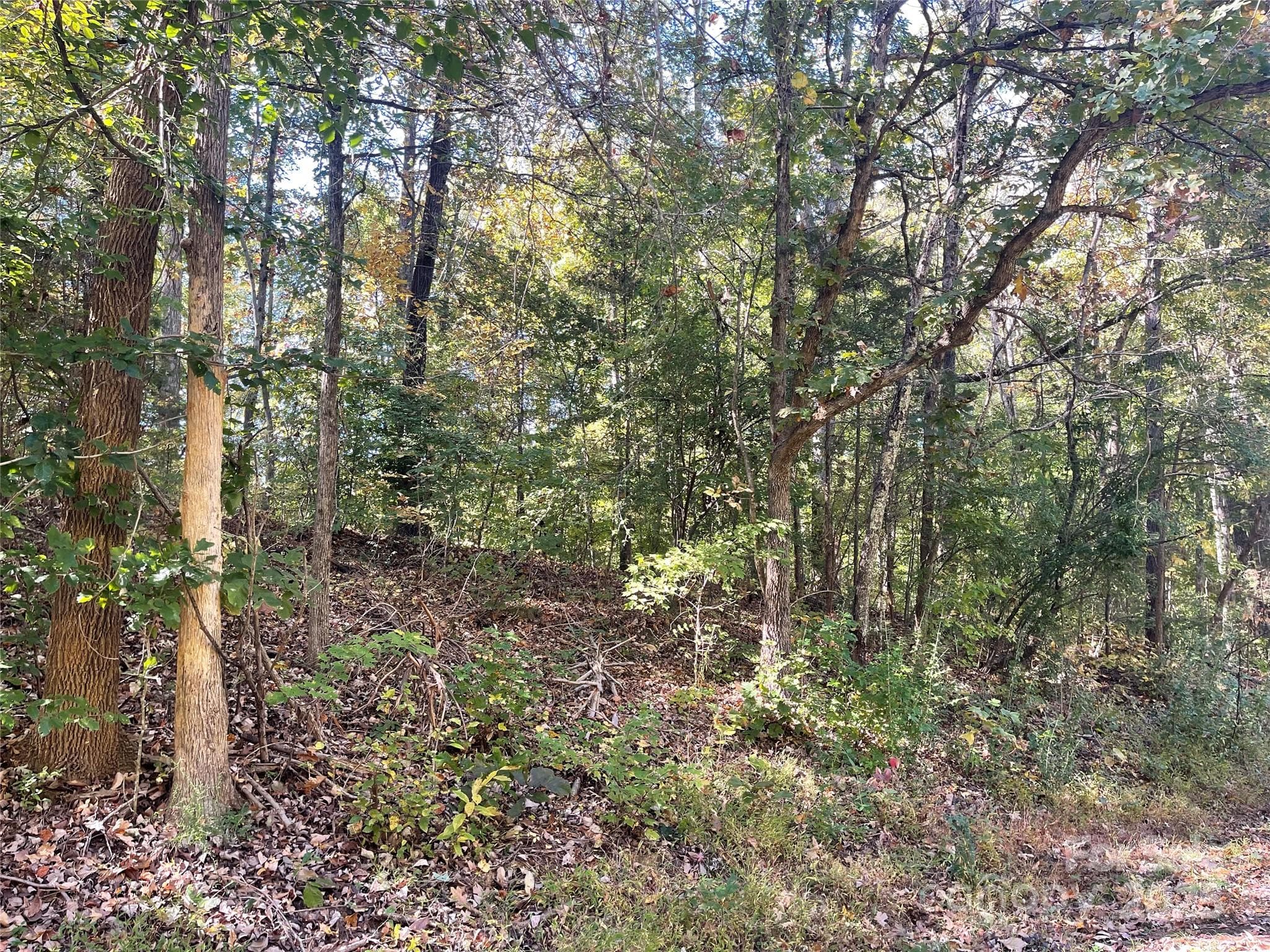 Lot at 237 Lamplighter Lane, Mount Holly, photo 2 of 4