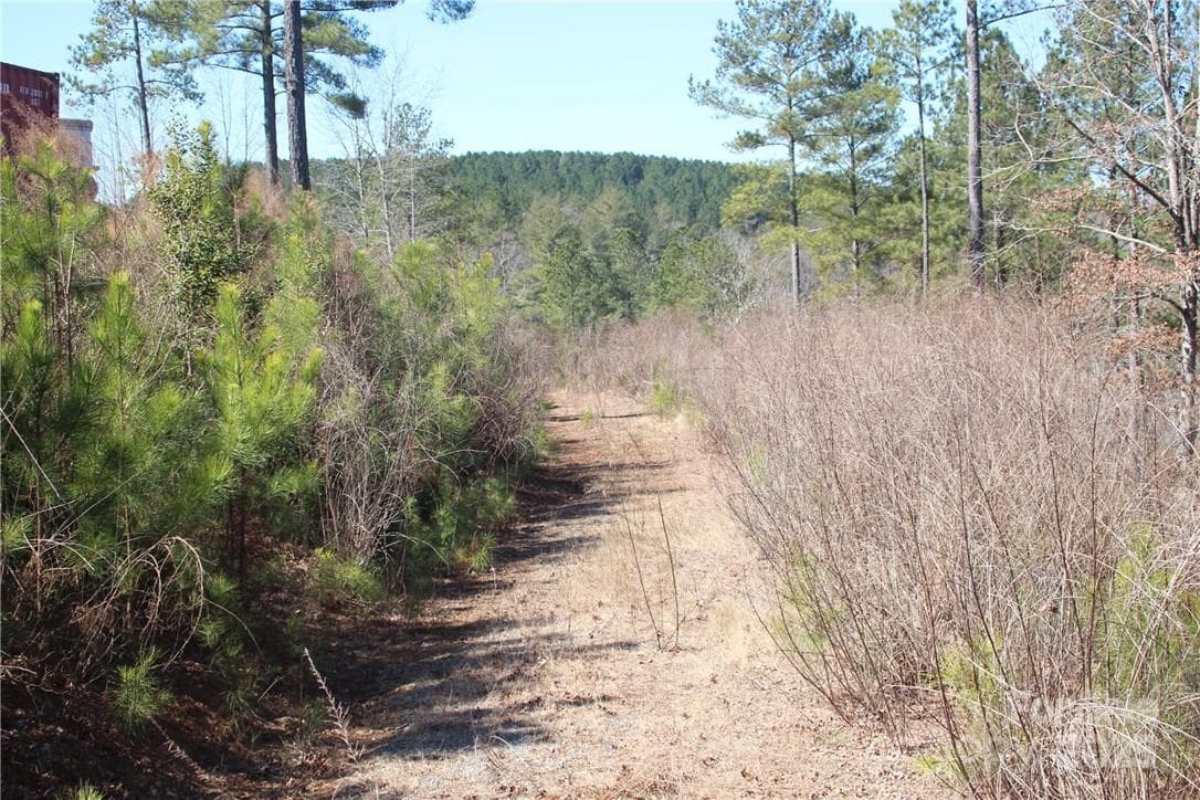 Lot at 2226 Inlet Shore Road NE, Connelly Springs, photo 7 of 15