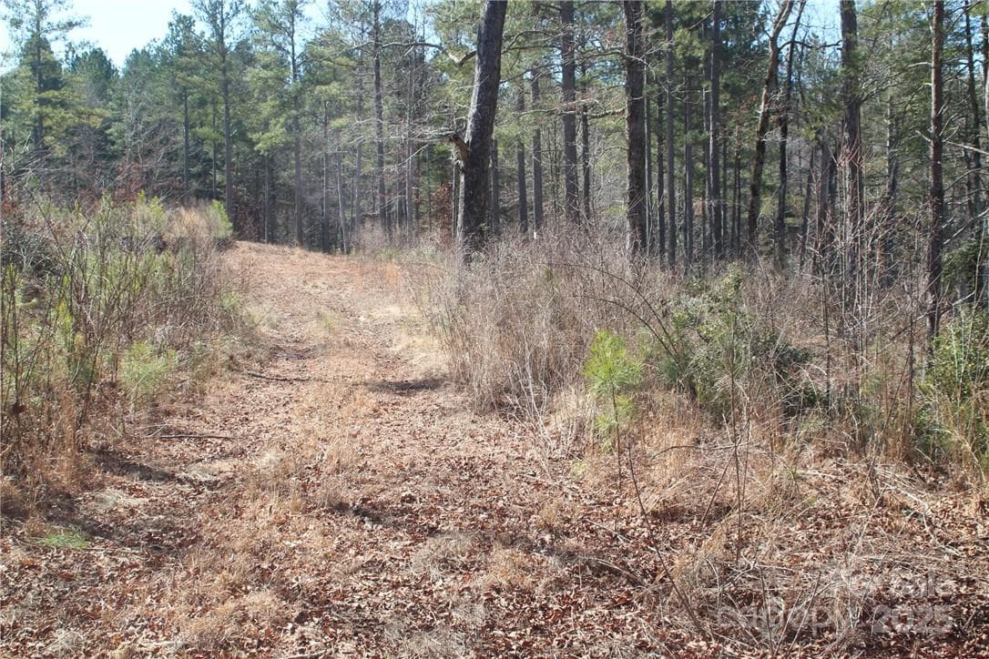 Lot at 2226 Inlet Shore Road NE, Connelly Springs, photo 8 of 15