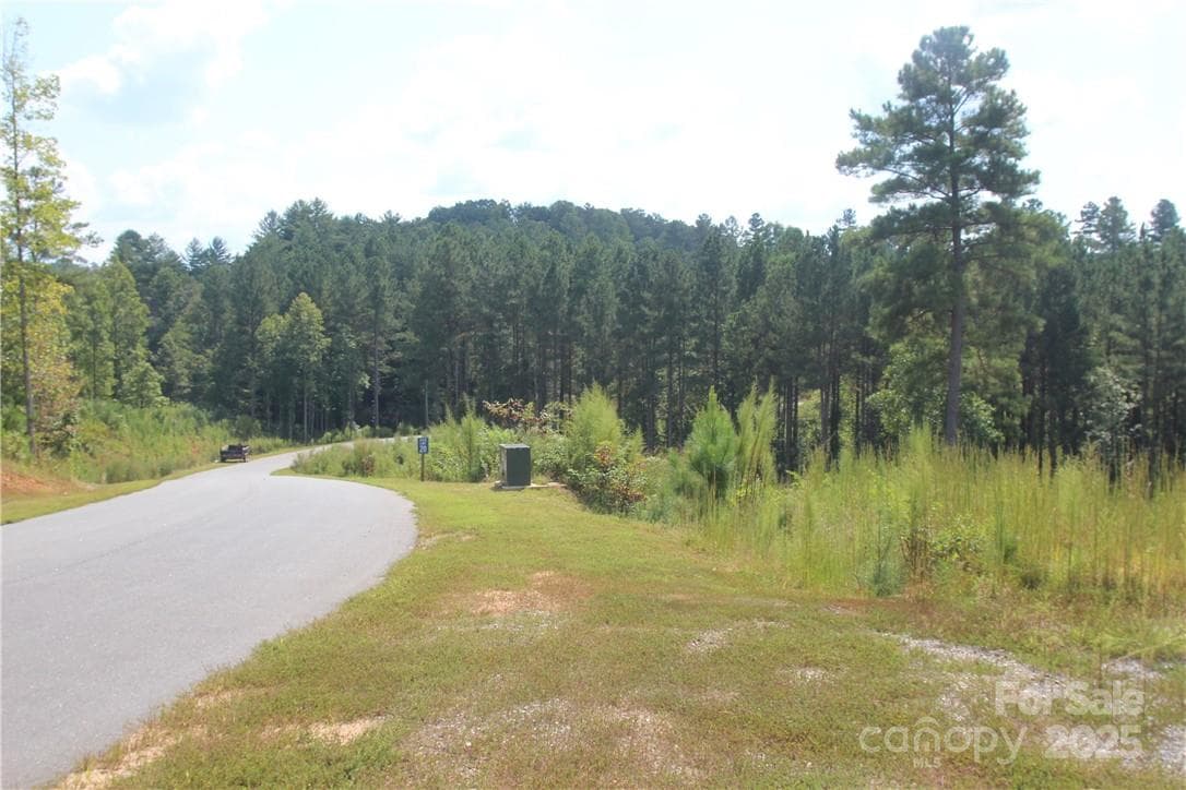 Lot at 2226 Inlet Shore Road NE, Connelly Springs, photo 10 of 15